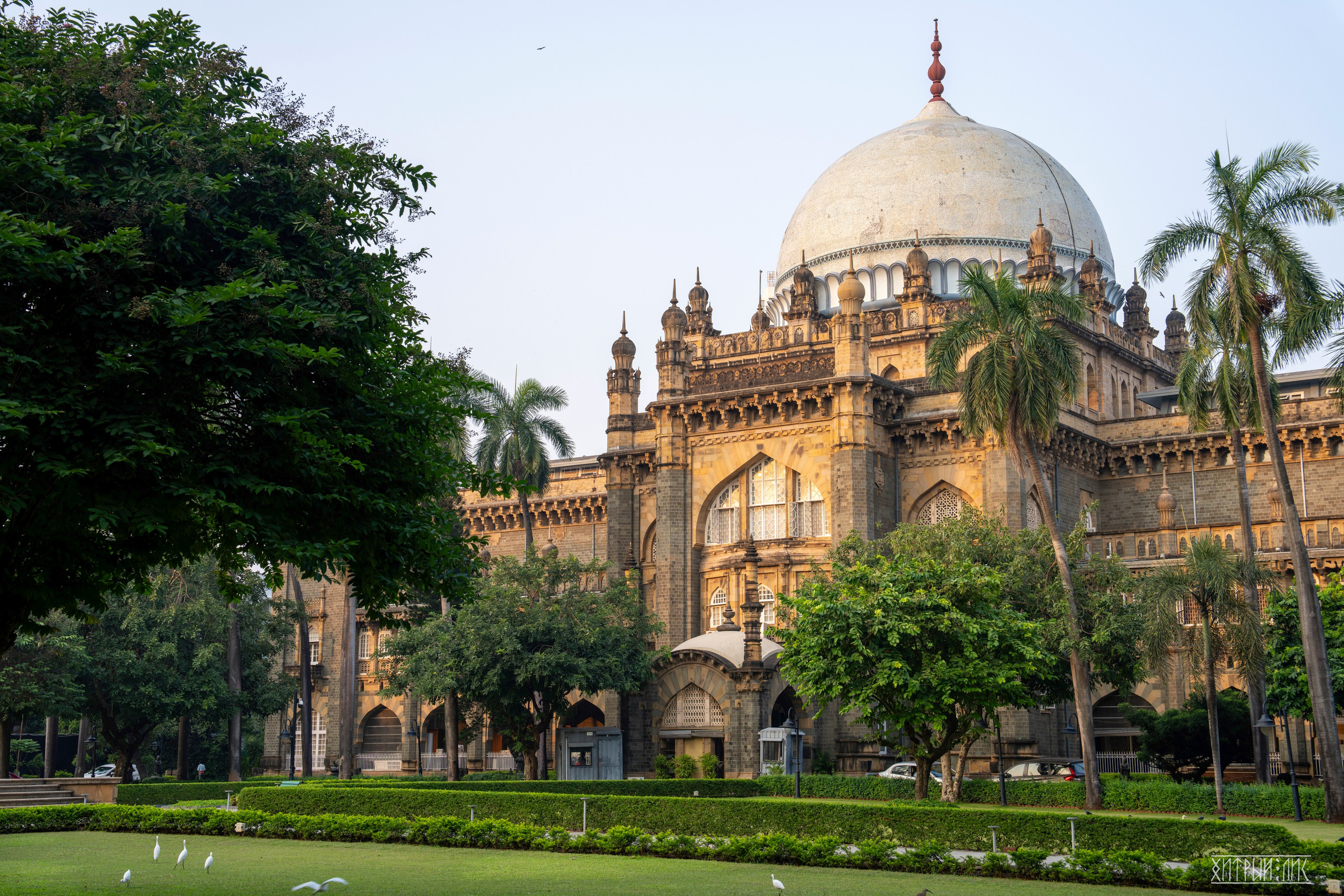 Гоа-Мумбаи. Фотограф-путешественник Самойлов Максим «Sly Fox»