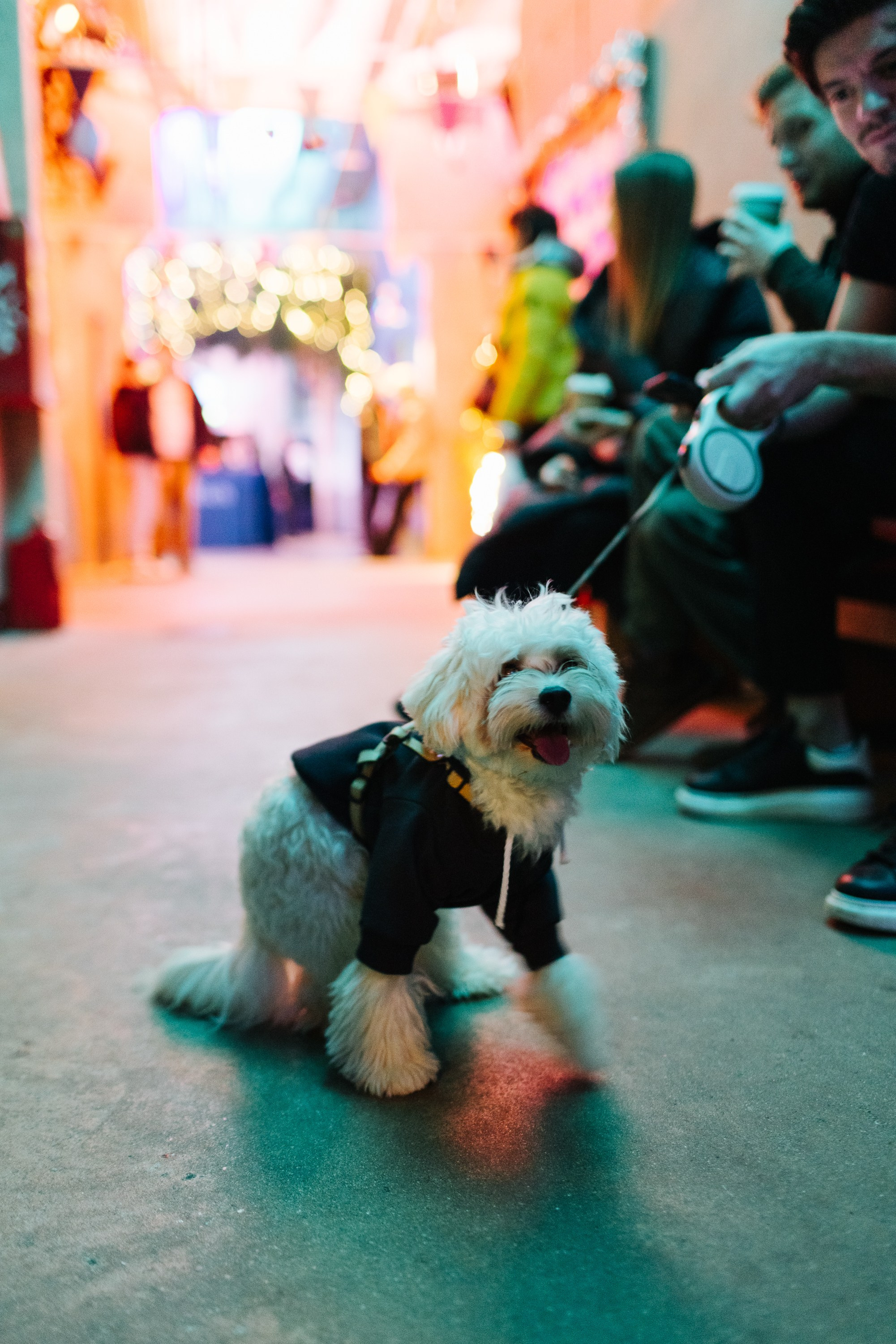 24–25 декабря 2022 в пространстве ПОЛЕ / День 1. Фотоотчеты «Ламбада-маркета»