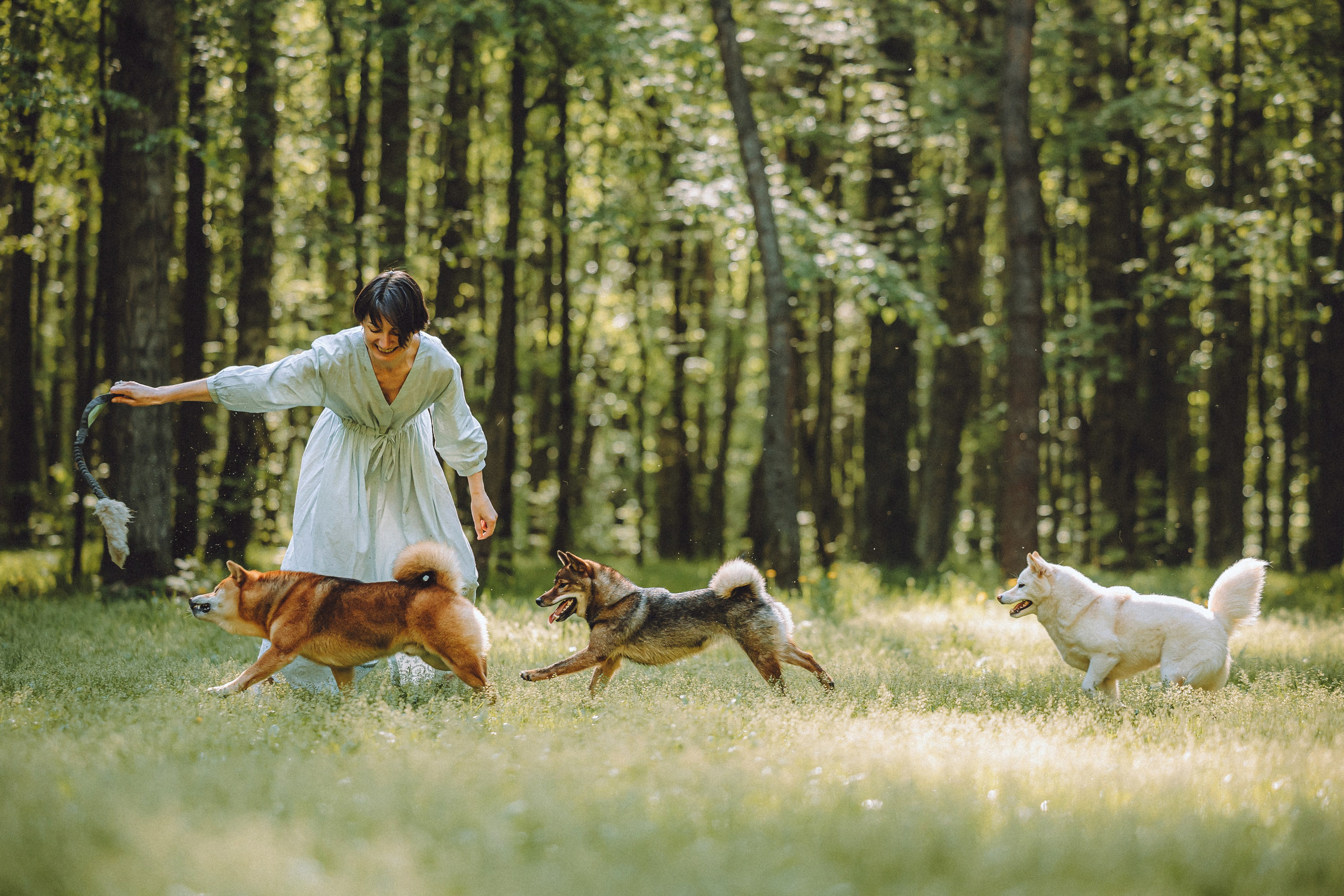 Шед, Цири, Чиби, Цера и их семья