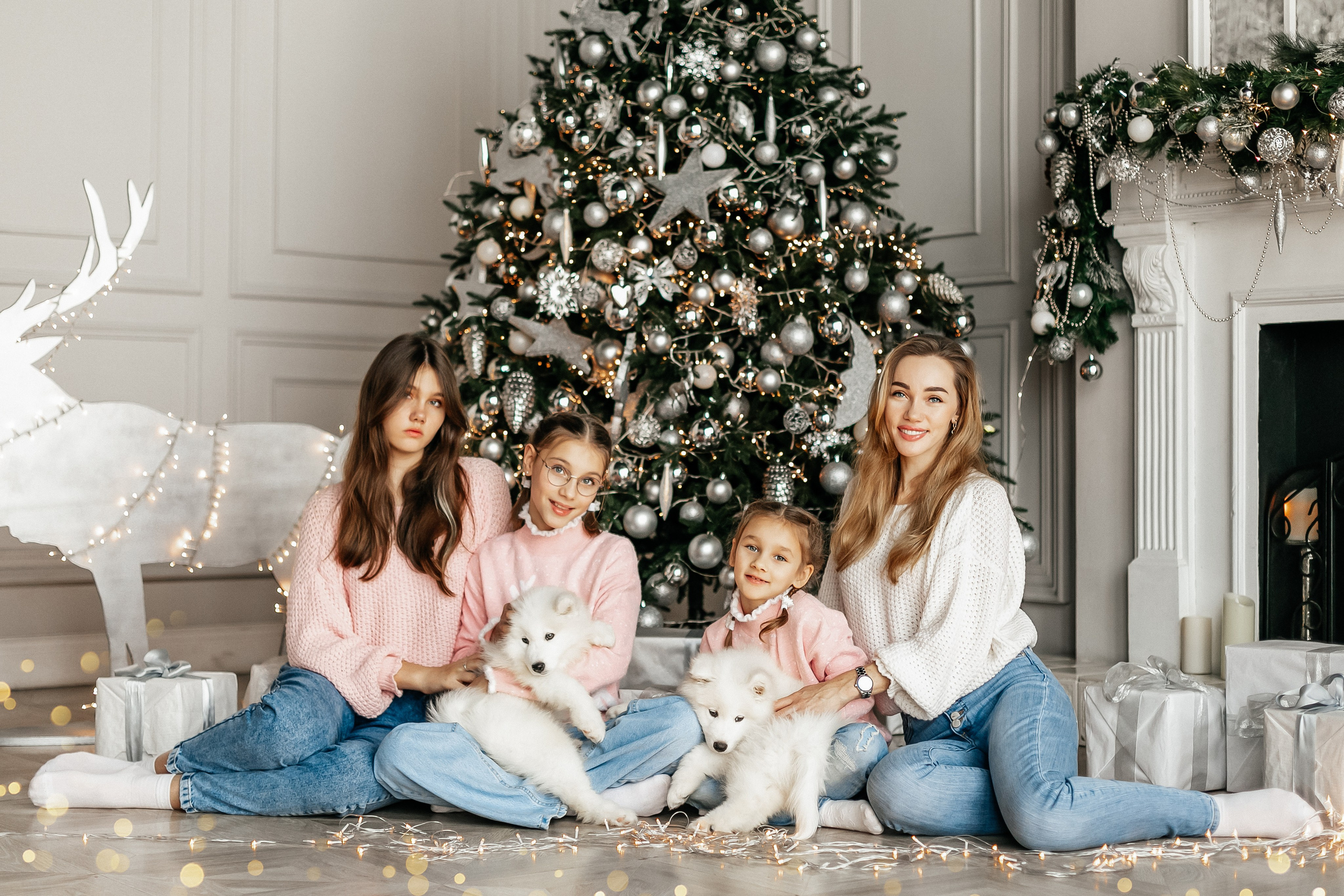 Фотосессия с животными в студии. Фотопроекты, фотодни и фотосессии в Москве