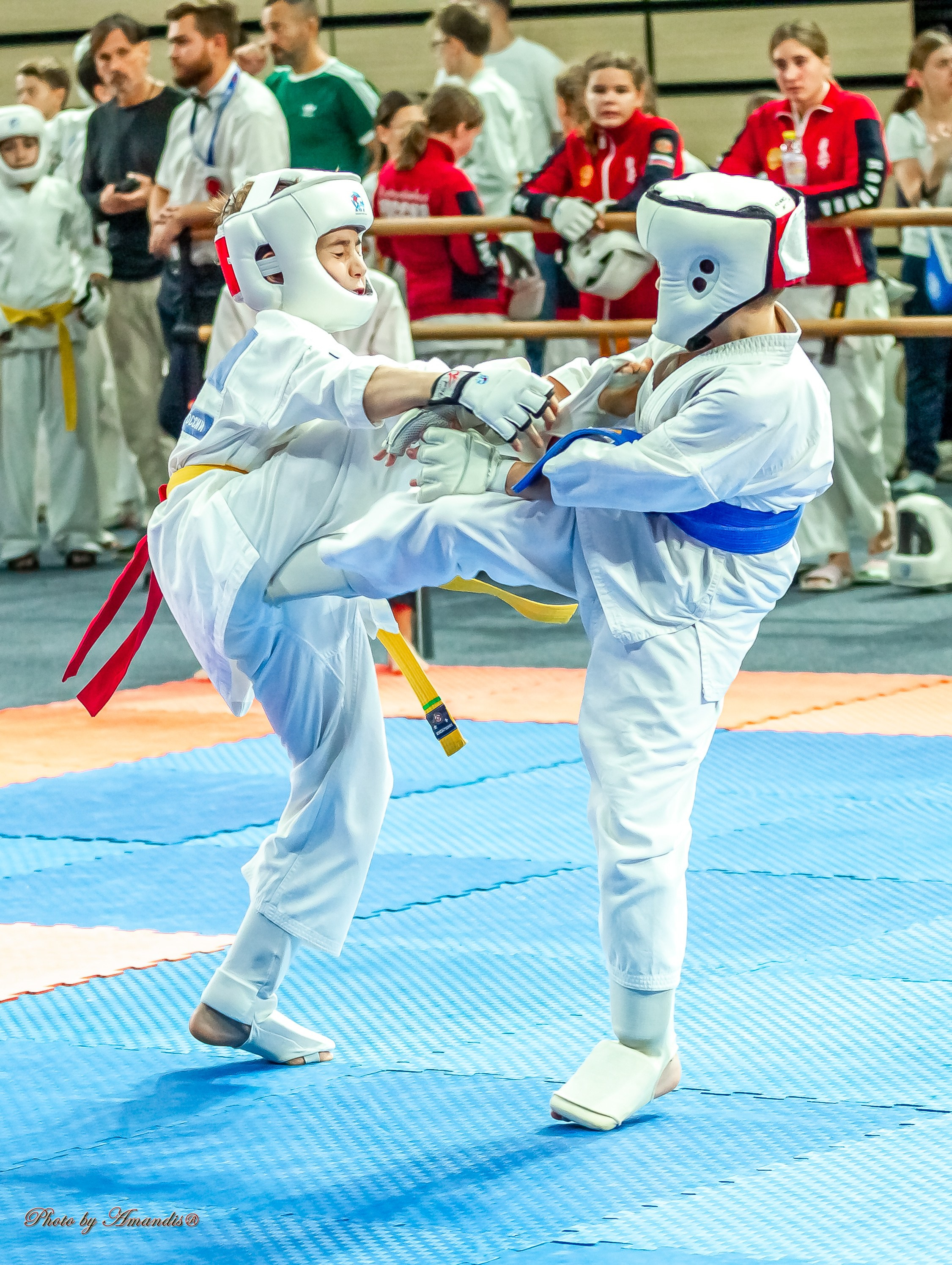 Первенство Московской области по Киокушин в СК «Жаворонки». Репортажная съемка в Москве и области. Анималистика