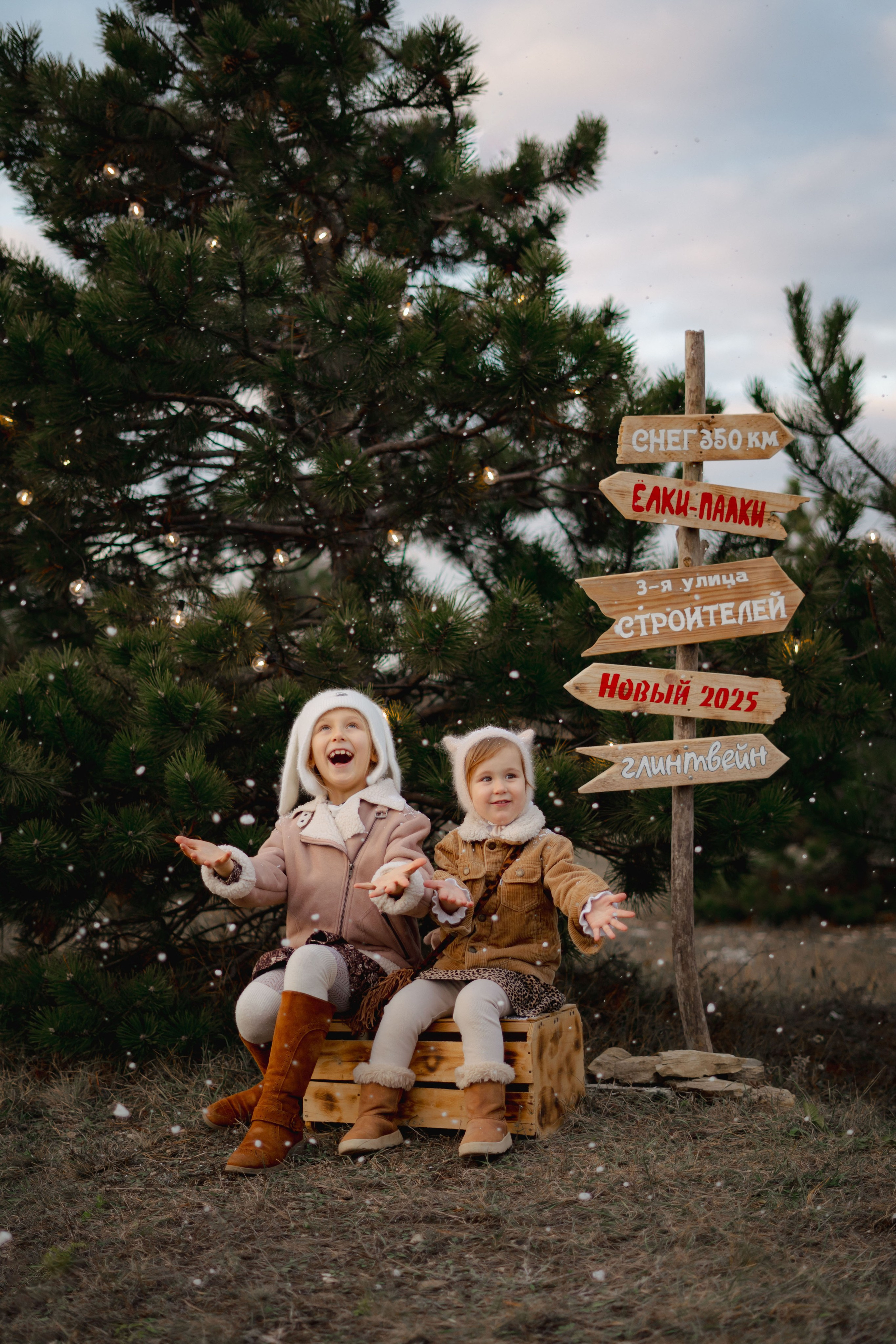 Новогодние. Елена Луковская. Семейная, портретная, репоражная съёмка