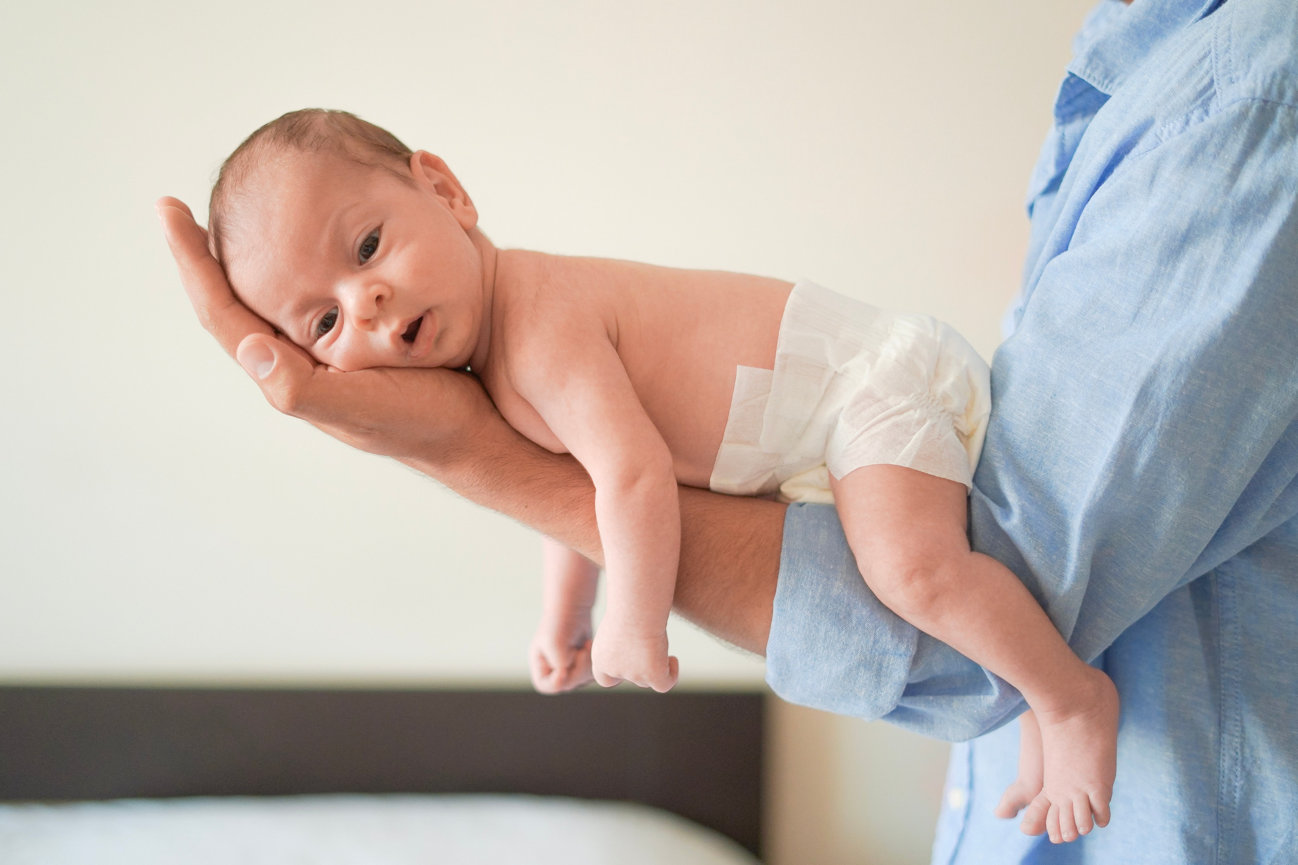 ЛЮБИМЧИК ГАСПАРЧИК. Фотограф Москва Екатерина Бондаренко