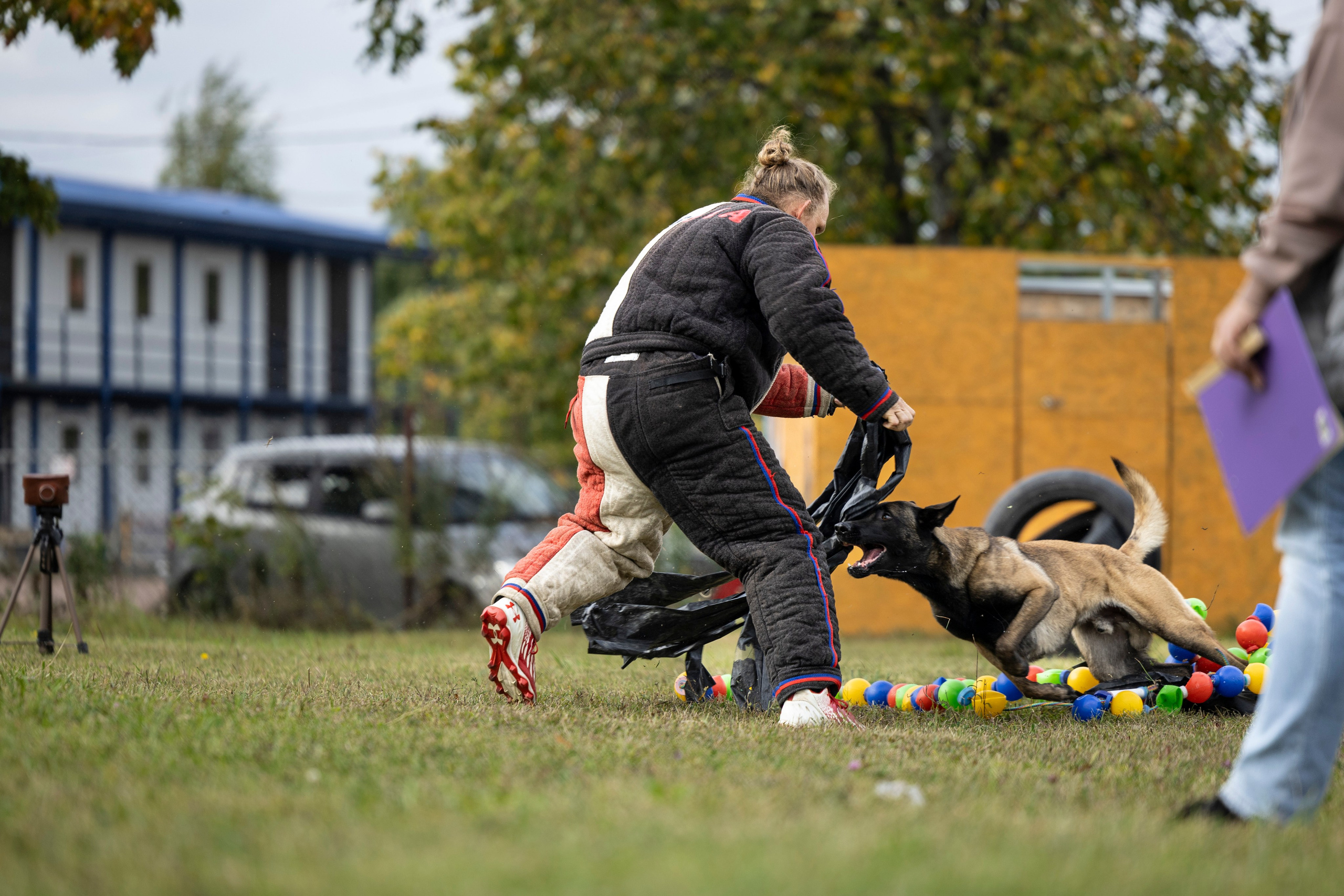 Испытания по Мондьорингу г. Пушкин. Фотограф-анималист Анна Маринич