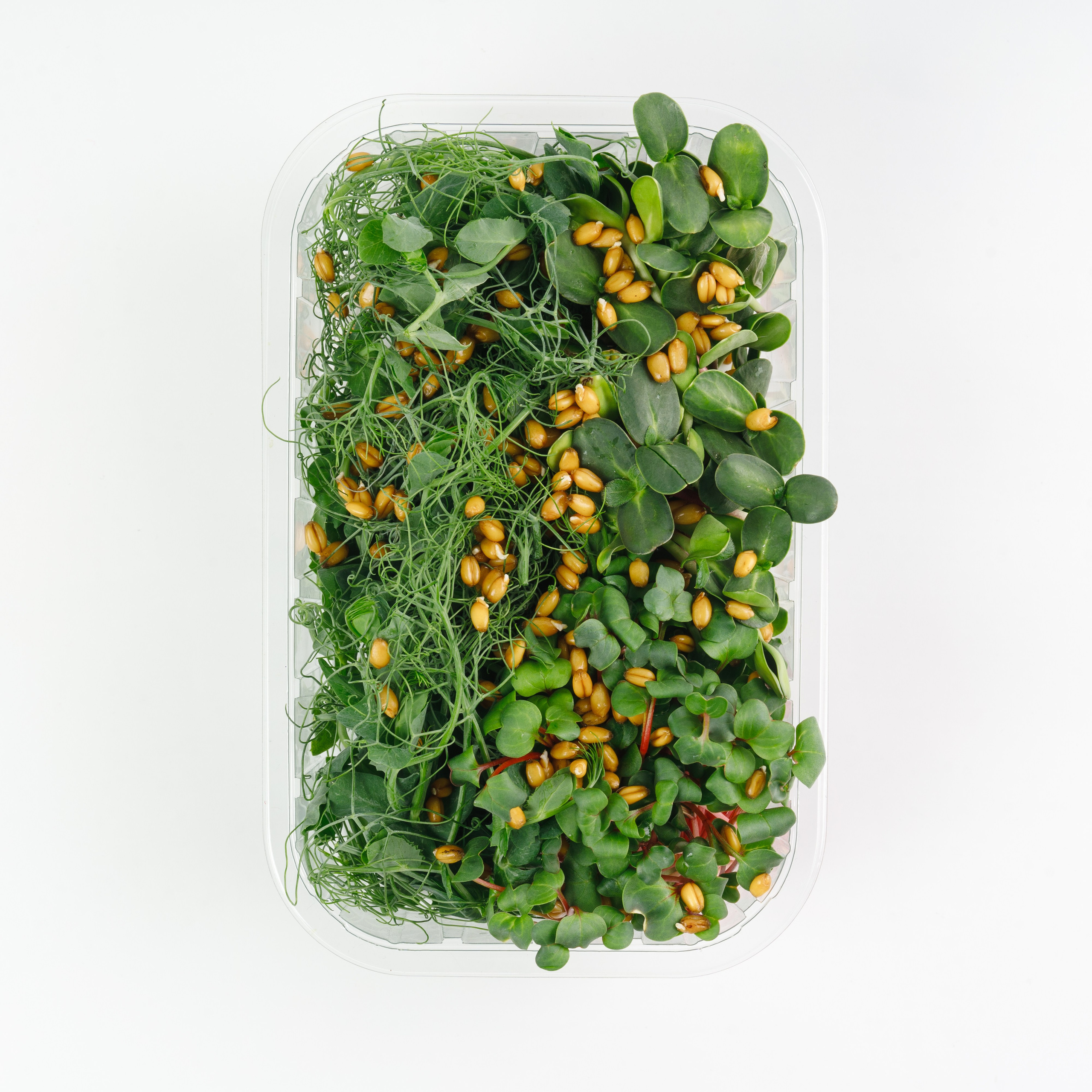 Меню для доставок. Фуд, предметный и фотограф анималист в Нижнем Новгороде Иванов Максим