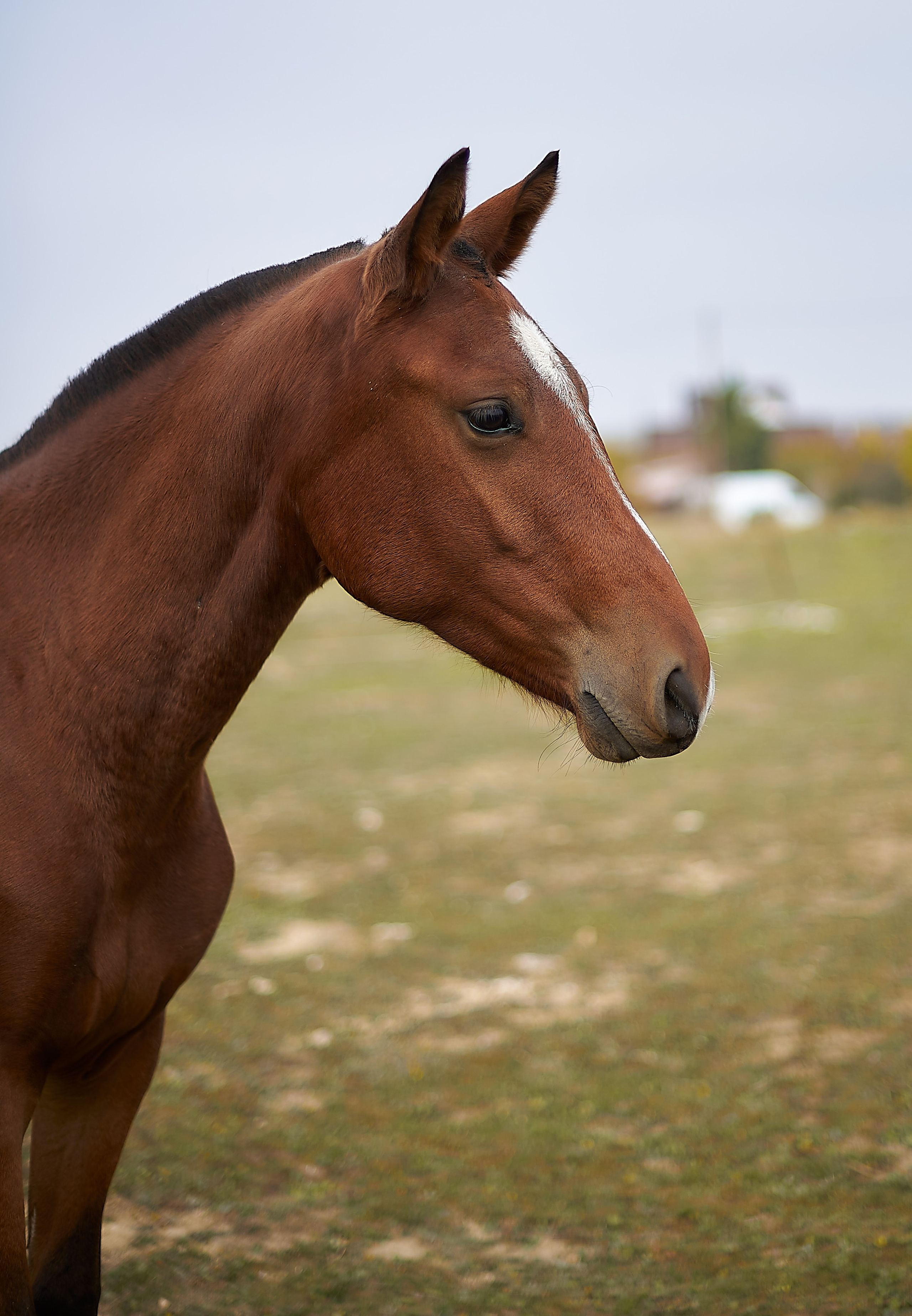 Роня. Фотограф в Севастополе
