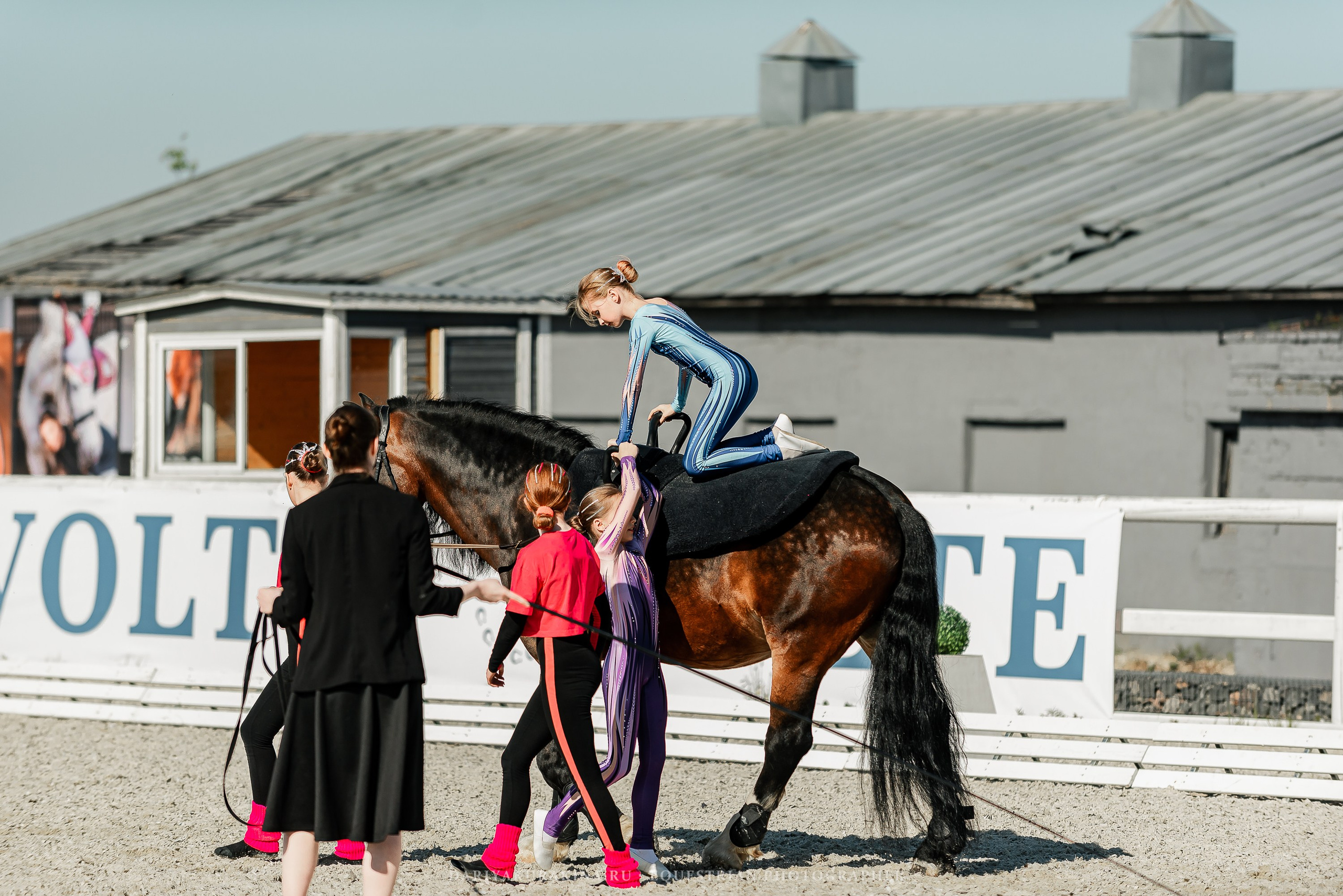 РЕПОРТАЖ МКК ВОЛЬТ «LA TULIPS». Конный фотограф Куракина Дарья • Фотосессии с лошадьми