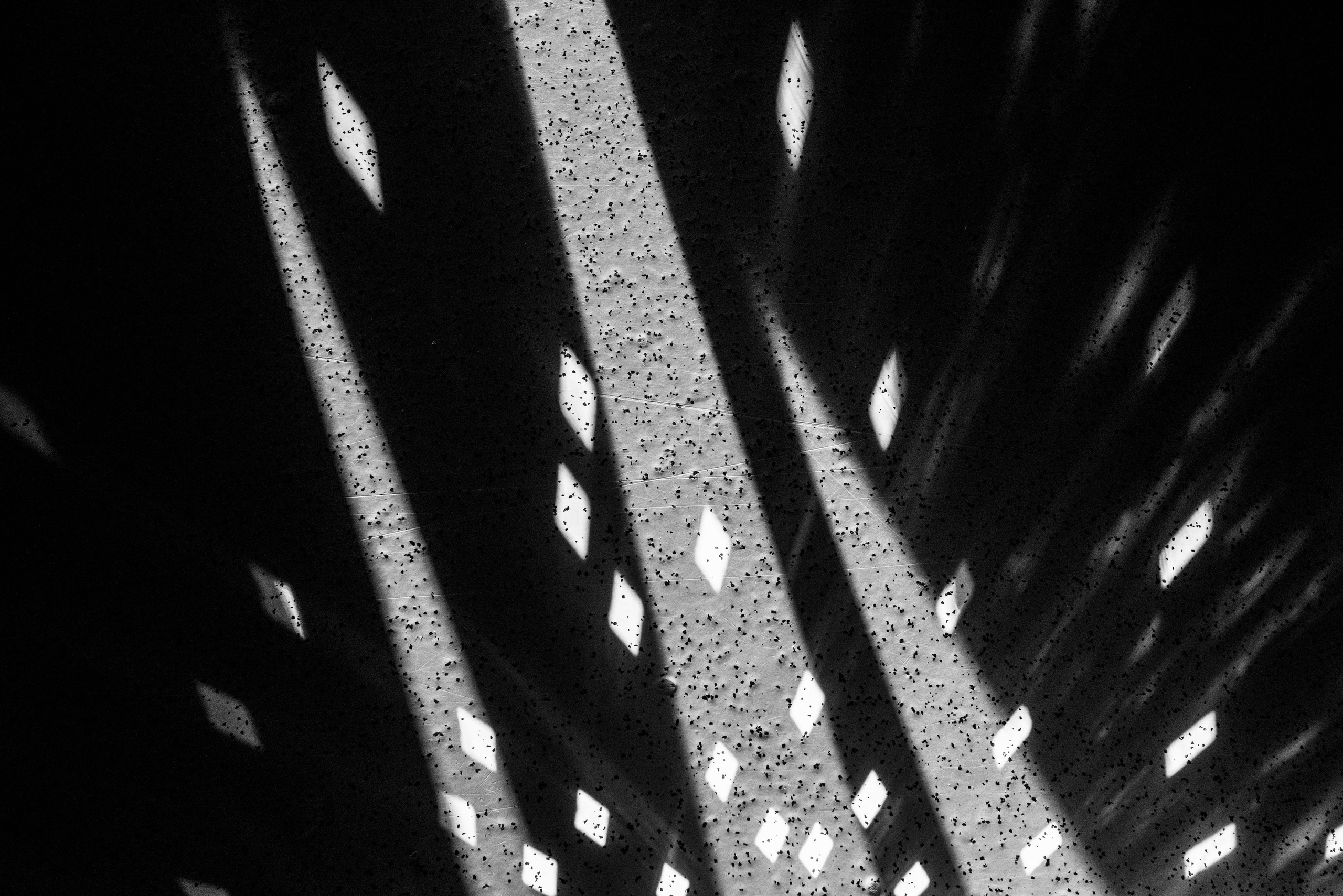 WBS Открытие свадебного сезона. Свадебный и семейный фотограф в Ставрополе Роман Иванов