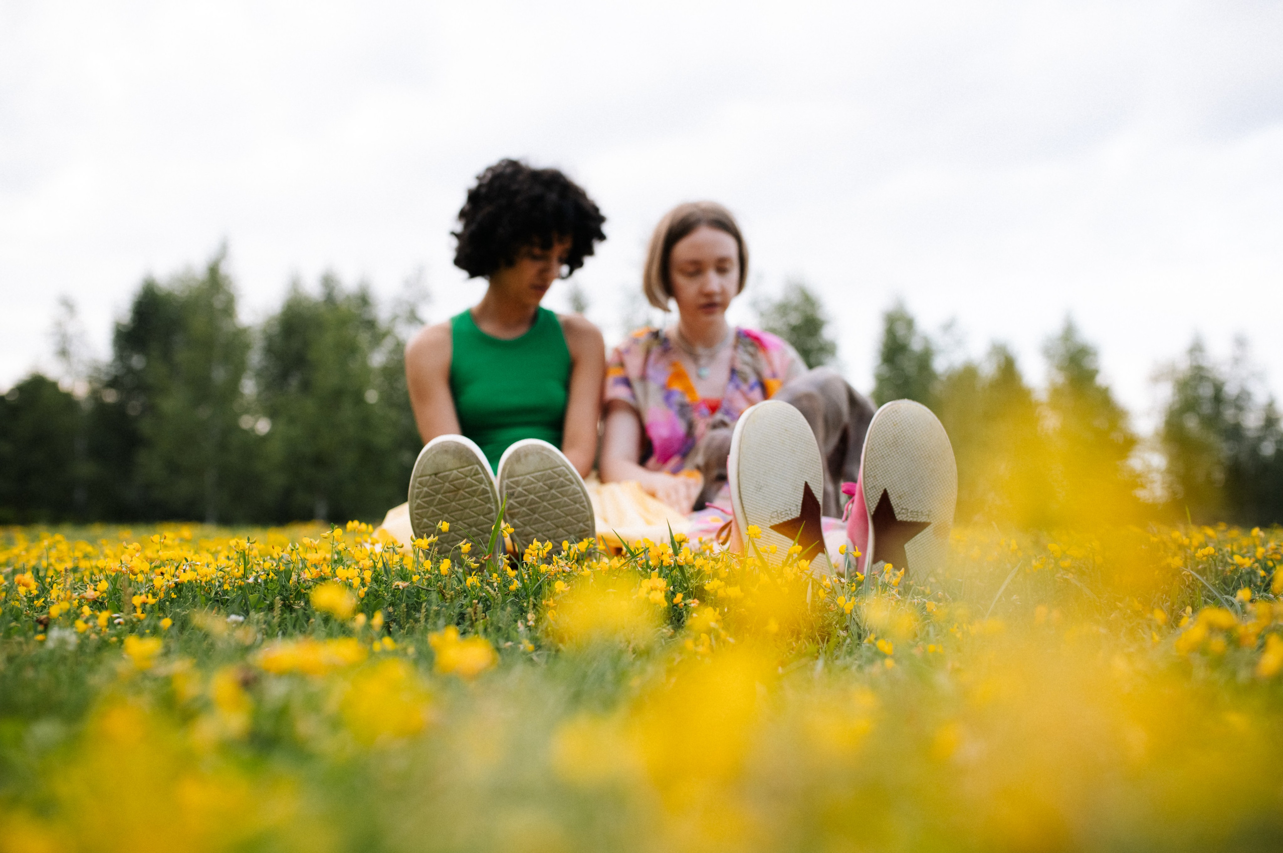 Хвост, смех и лучшие подруги. Фотограф анималист в Москве Ольга Агушева