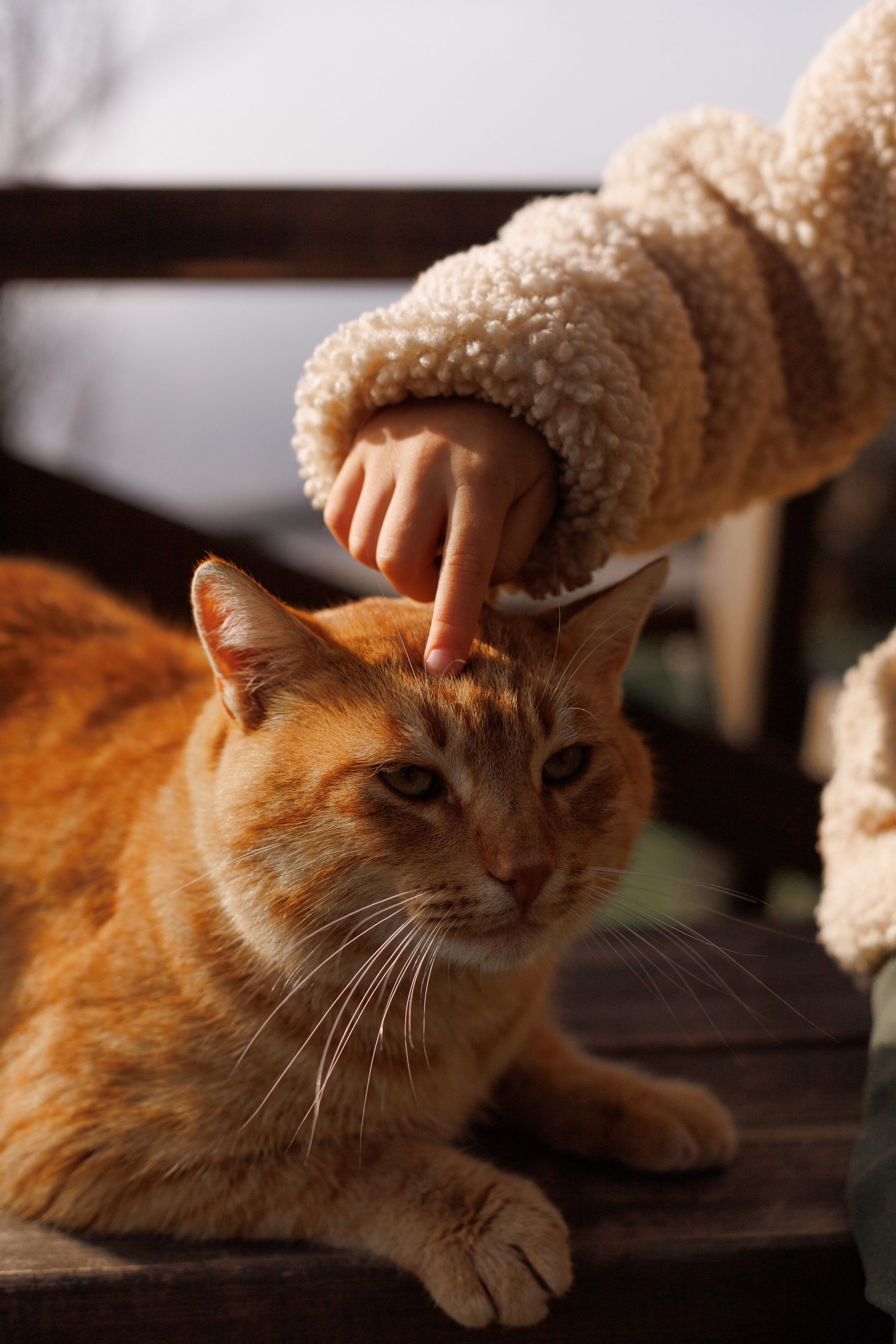 С папой вдвоем. Фотограф в Симферополе Мария Назарова