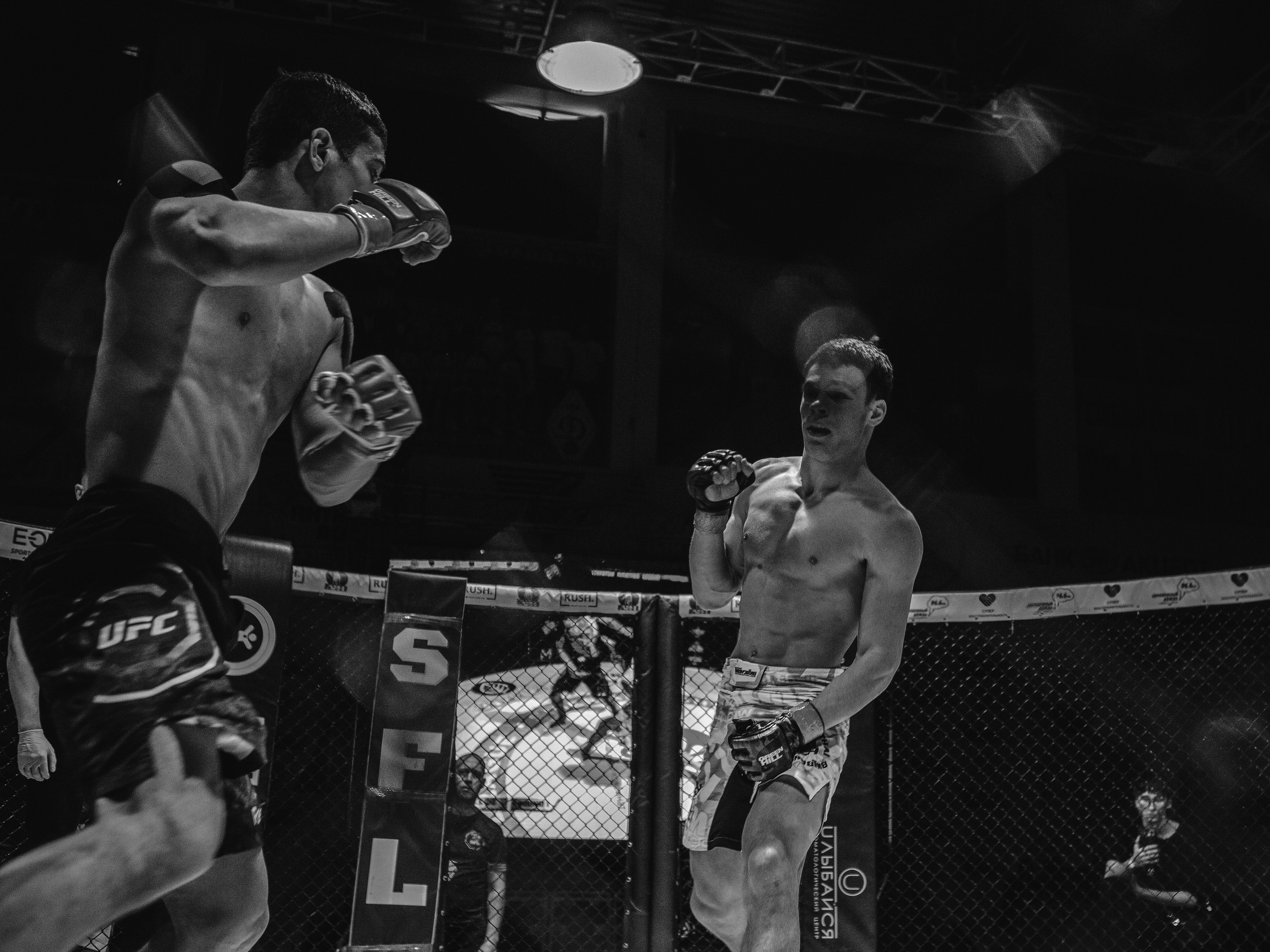 SFL 17 | Siberian Fighting League. Портретный фотограф в Москве Дарья Цезария