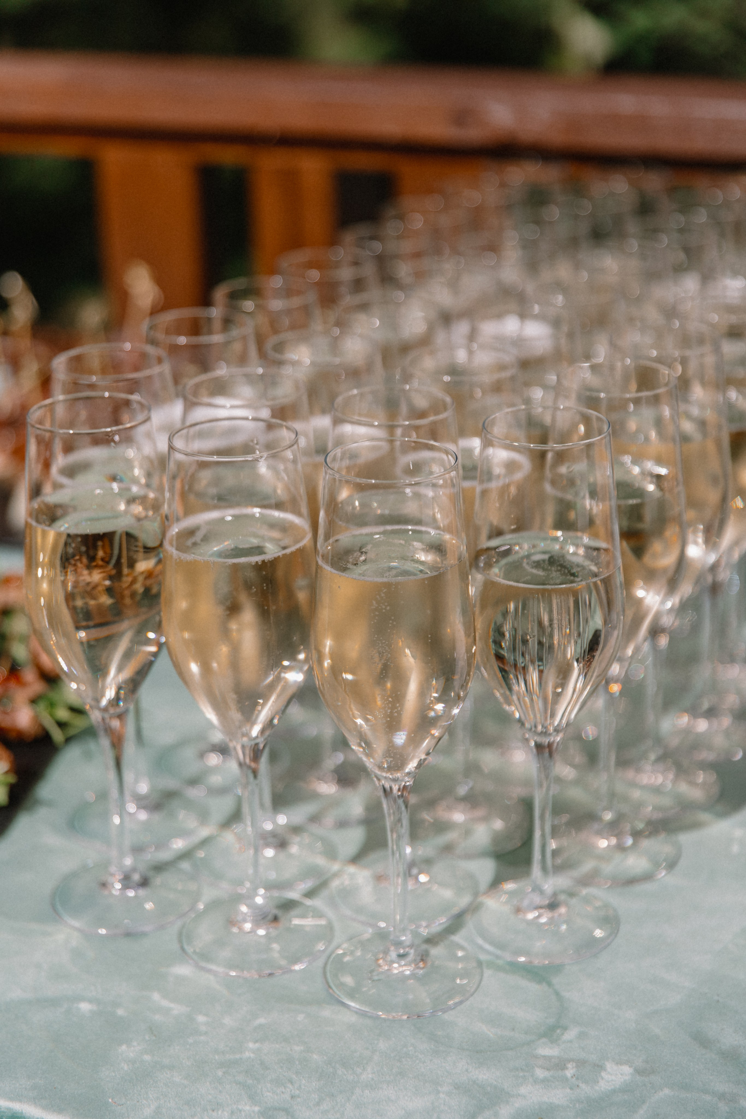 Карина + Дима: банкет. Николь — ваш любимый фотограф в Санкт-Петербурге