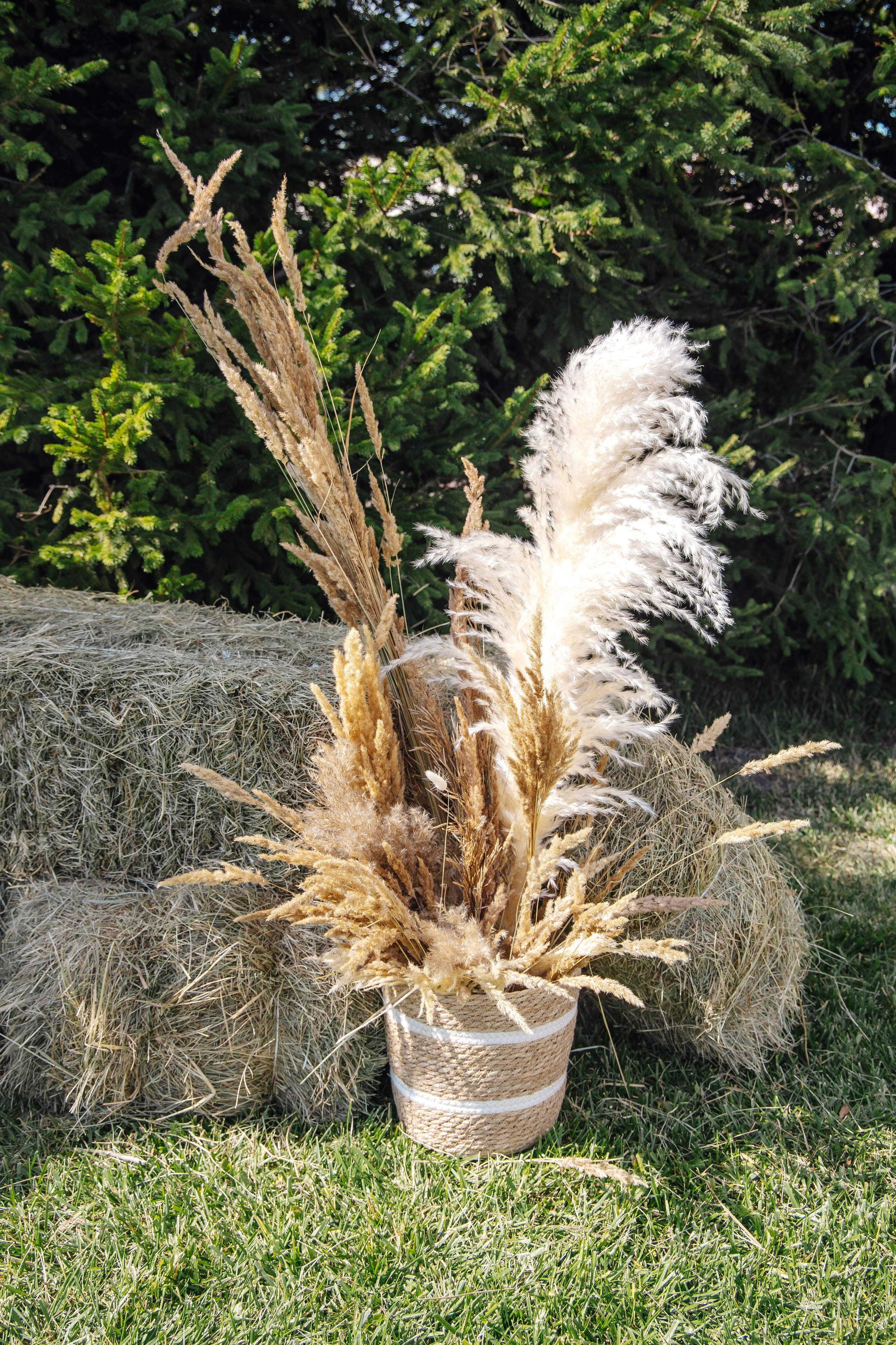 Фотограф Сергей Золотарев — Свадьба Дмитрия и Виктории. Фотограф Воронеж, Липецк