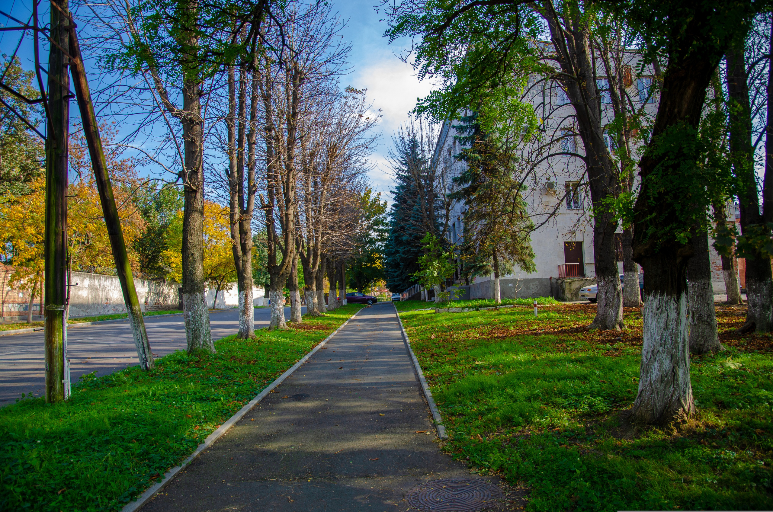Владикавказ. Фотограф в городе Новороссийске