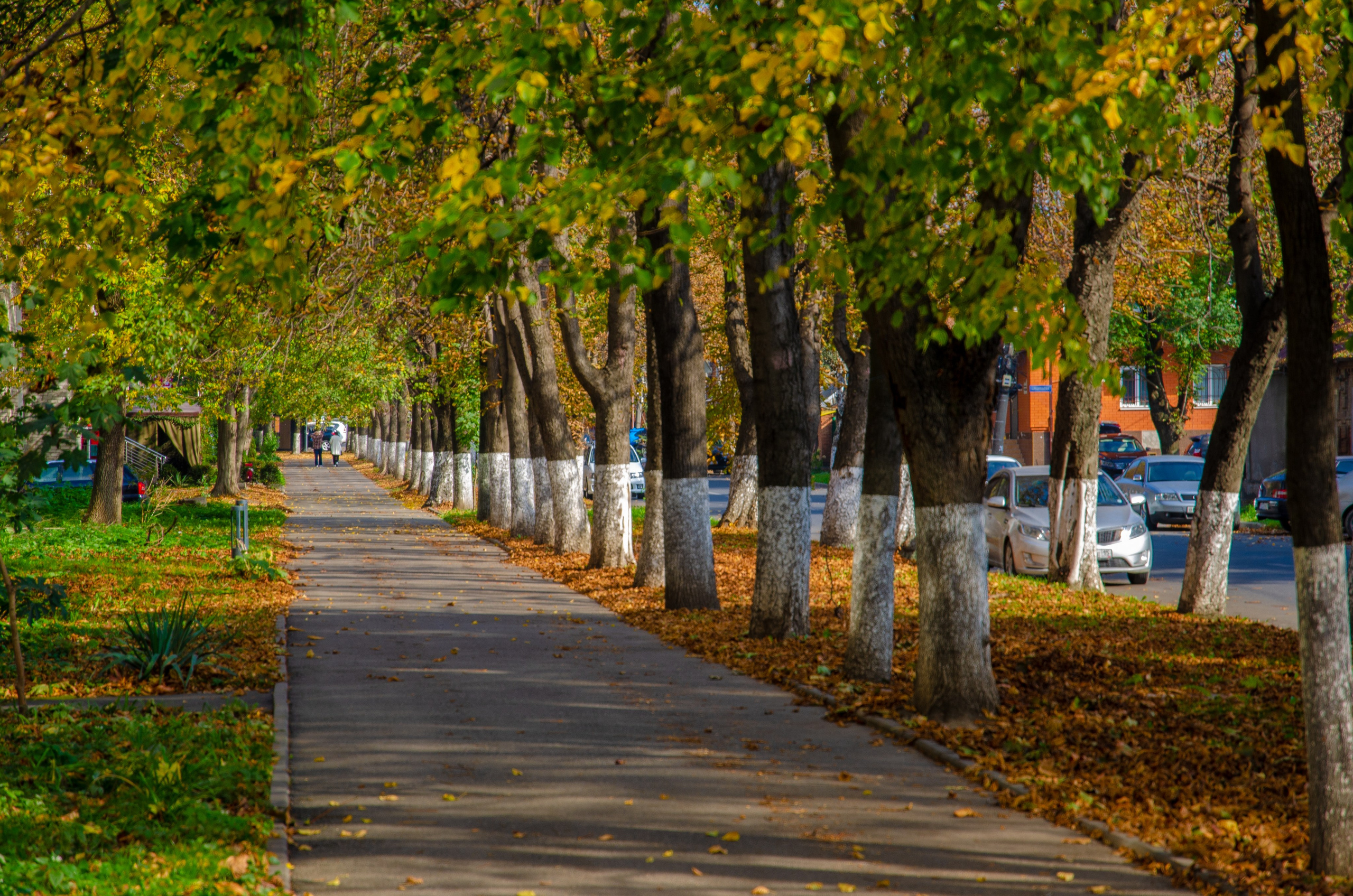 Владикавказ. Фотограф в городе Новороссийске