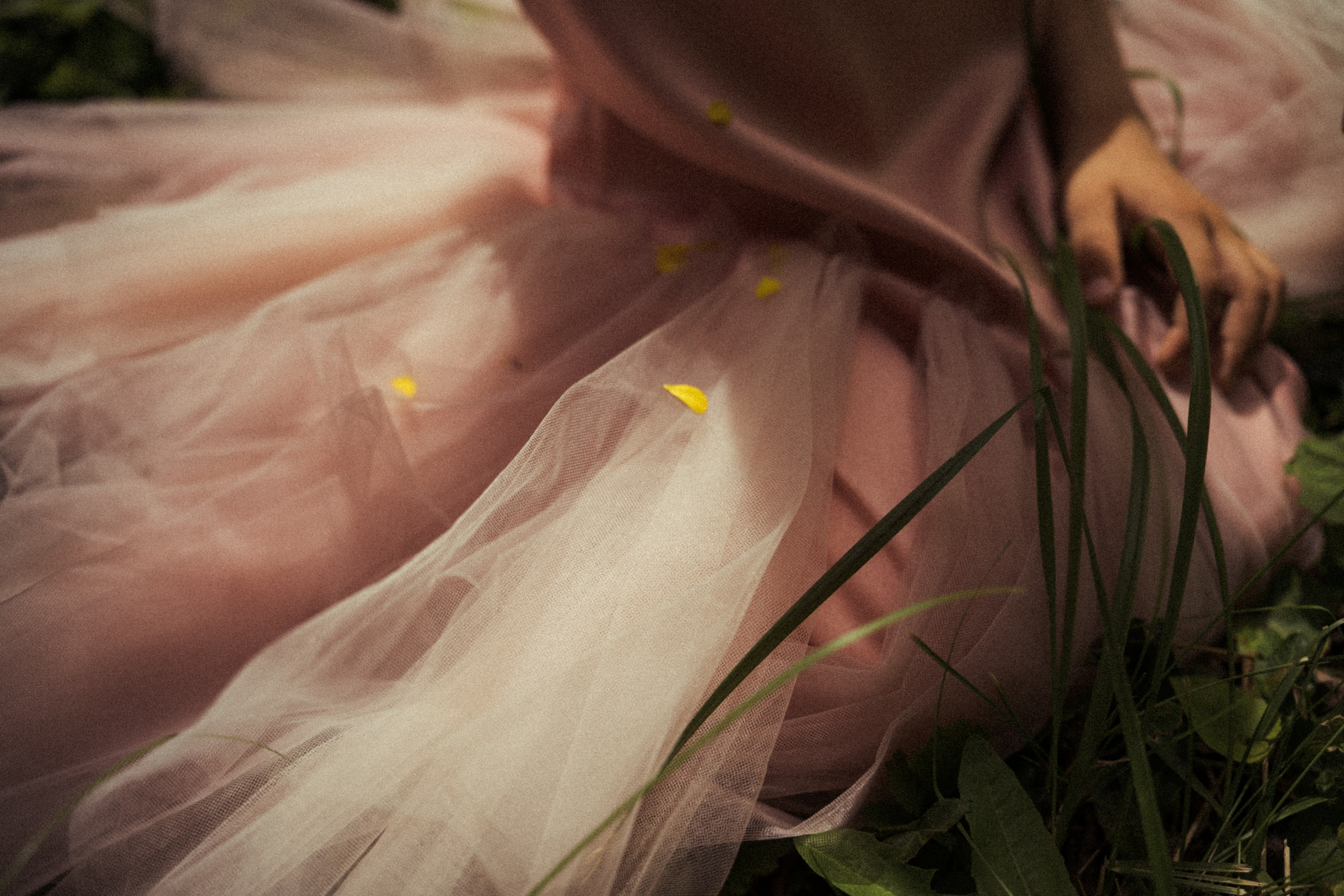 Творческие Проекты. Фото