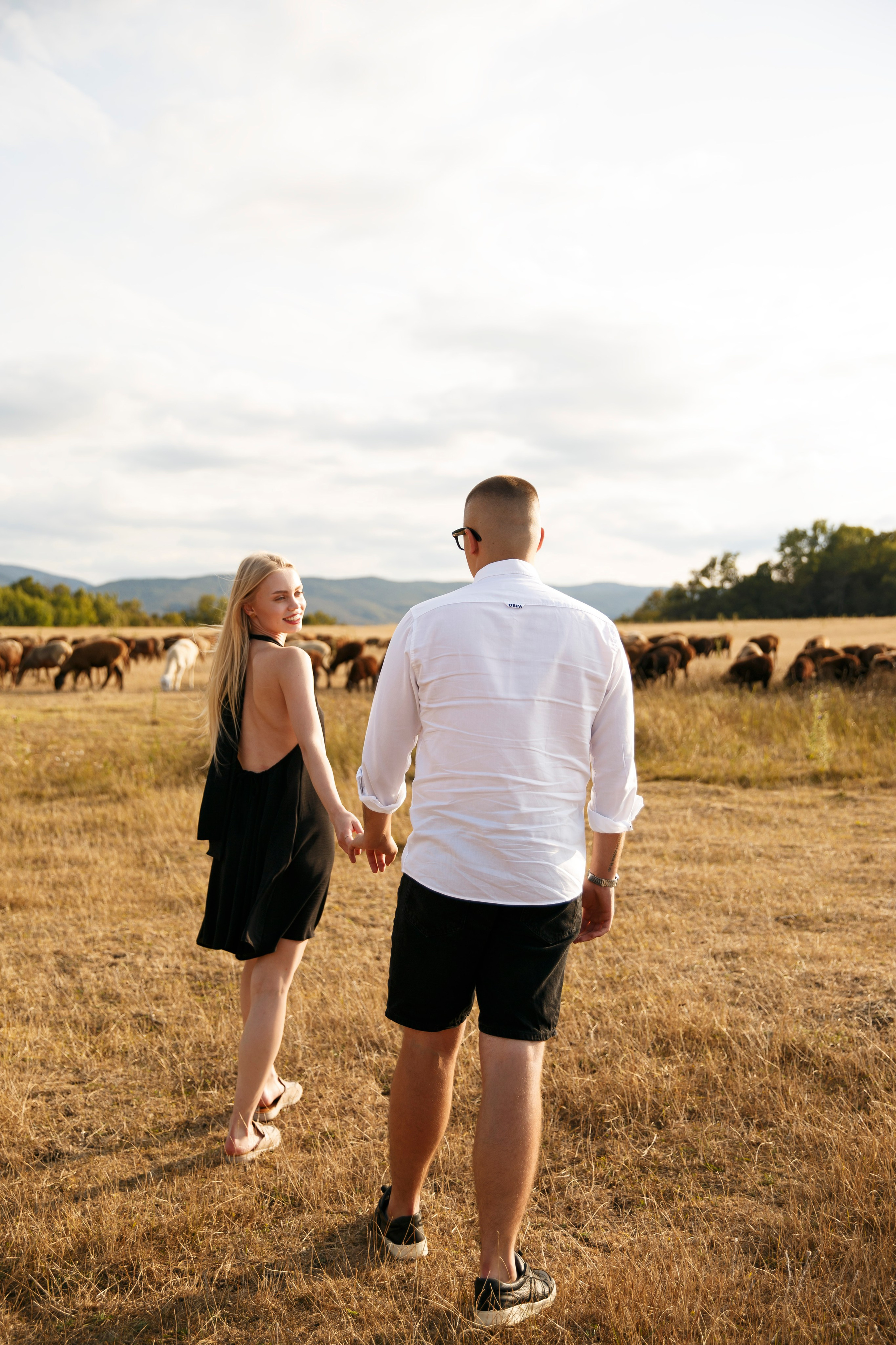 Lovestory с лошадьми