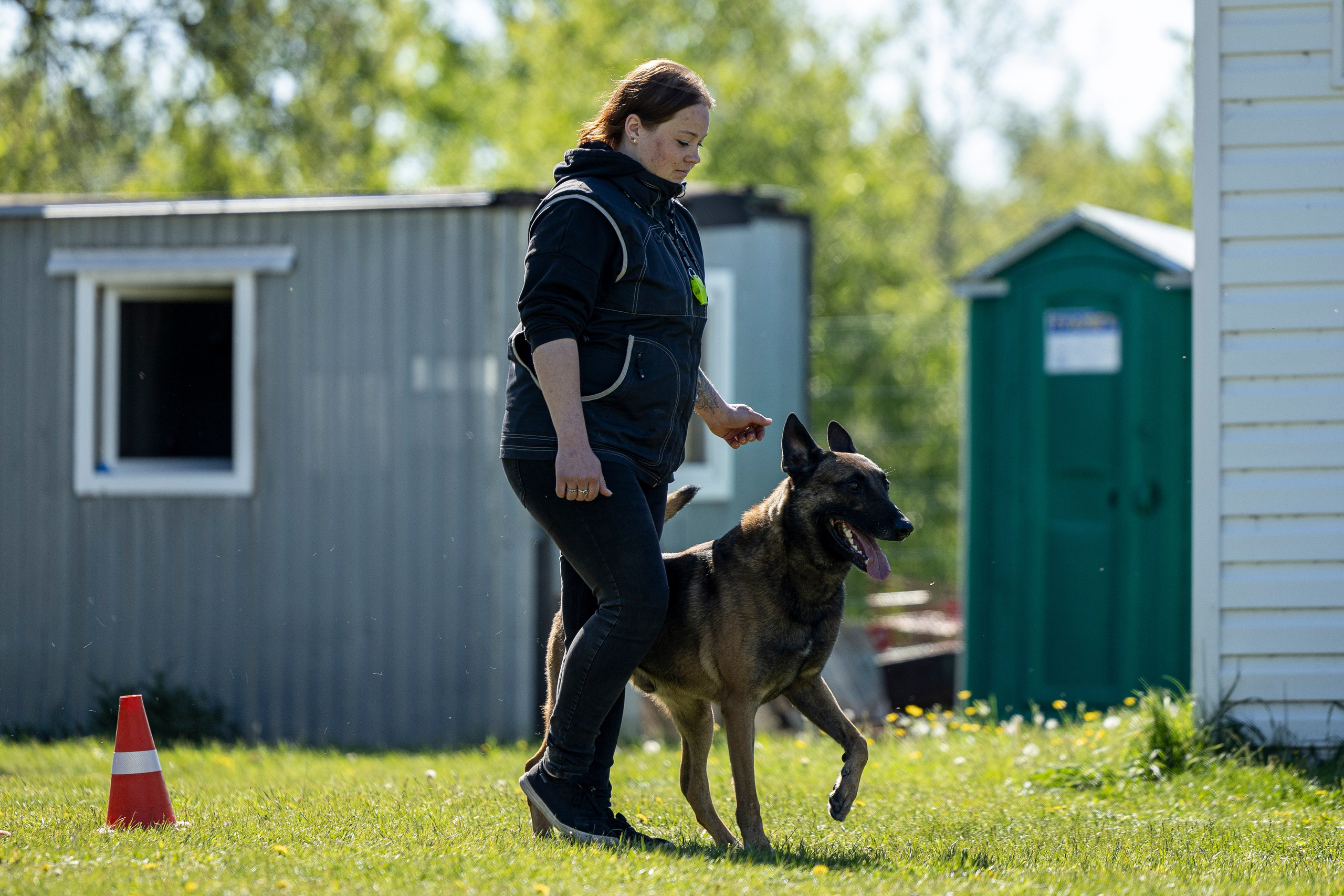Испытания по мондьорингу в Нижнем Новгороде. Фотограф-анималист Анна Маринич