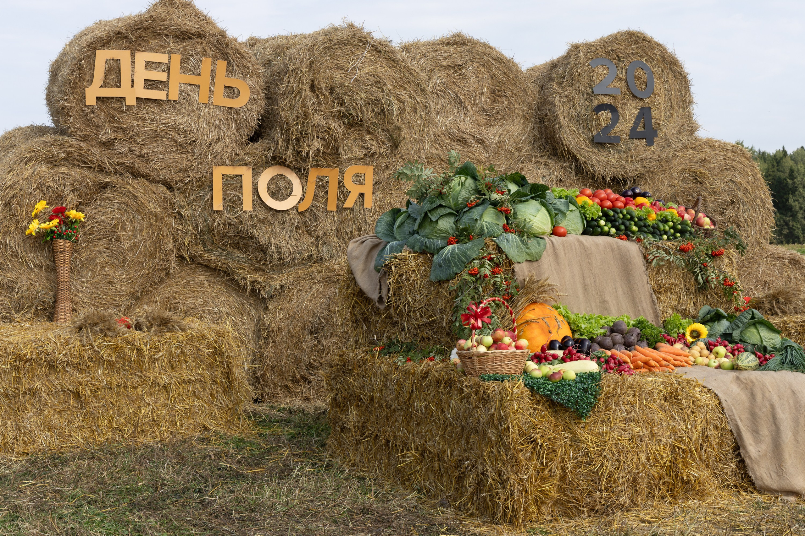 День поля 2024