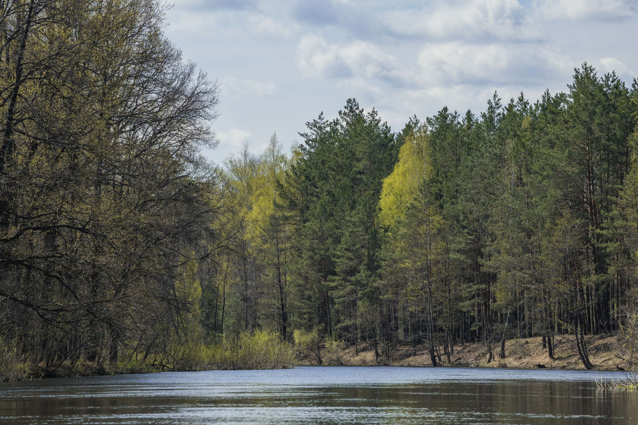 Водный поход 1-й кс по реке Случь. Репортажный фотограф Владимир Беляй