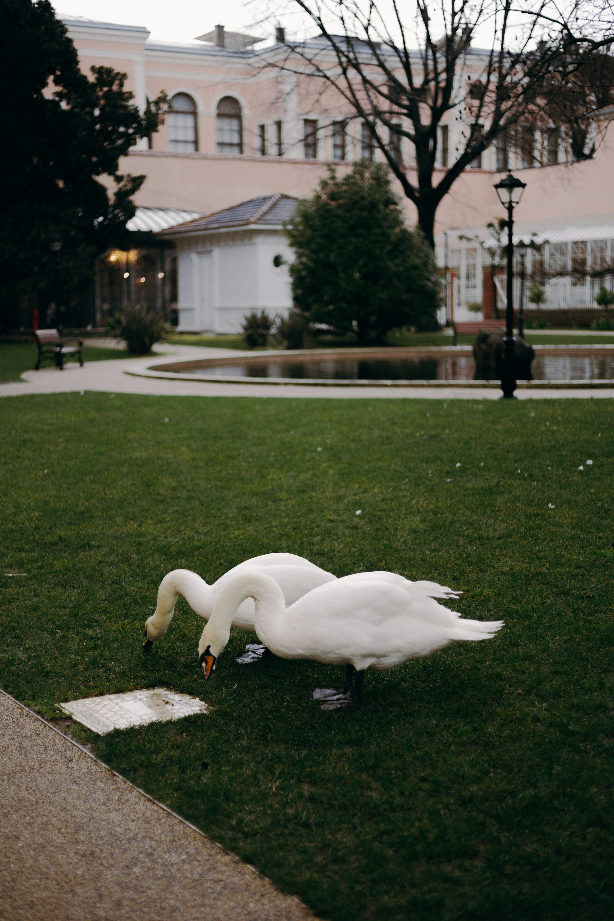 Стамбул. Профессиональный Фотограф во Владимире, в Москве и в Суздале — Полина Романычева