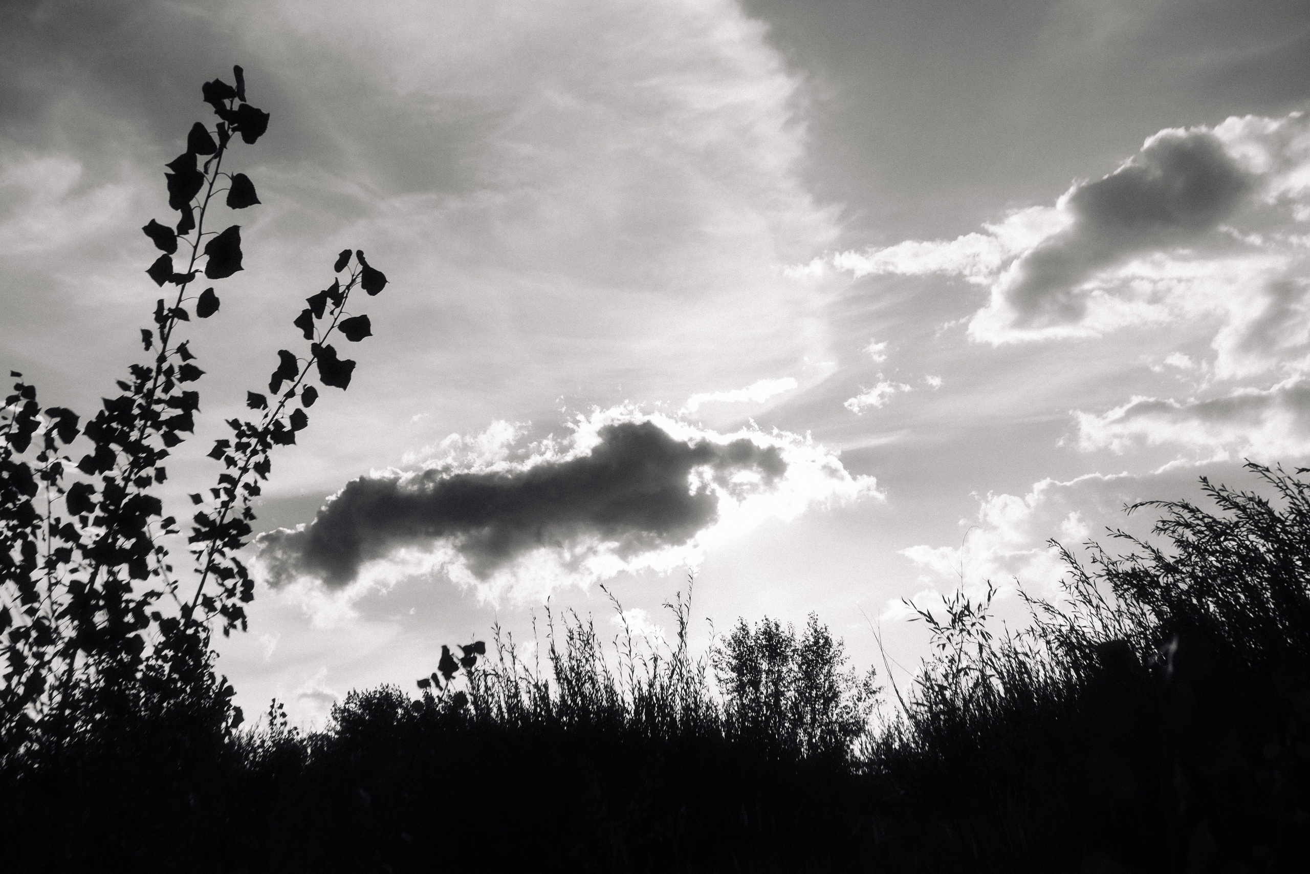 Остров-град Свияжск. Главная