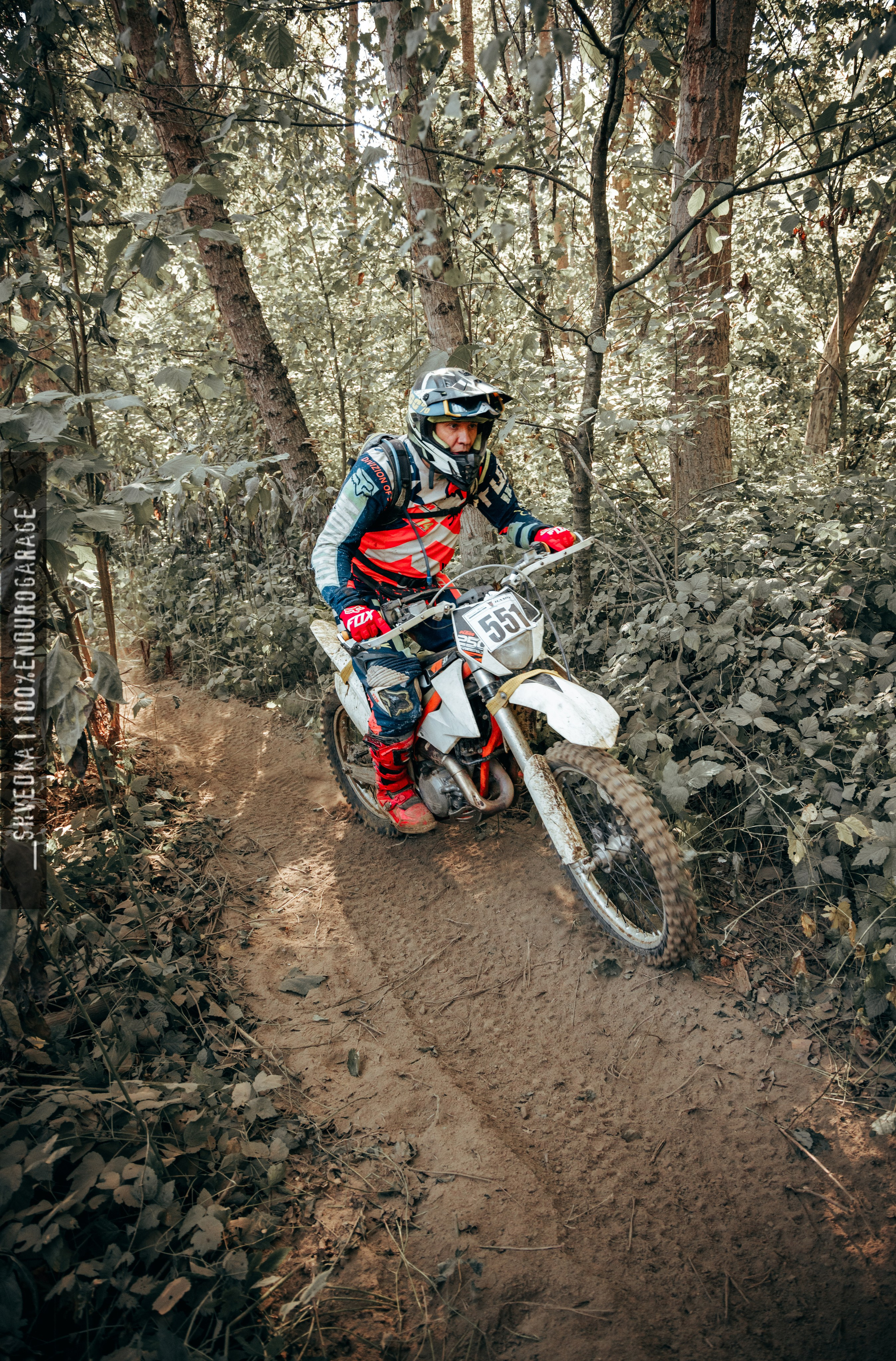 2 лесной день. Ваш экстрим фотограф Кудрева Яна