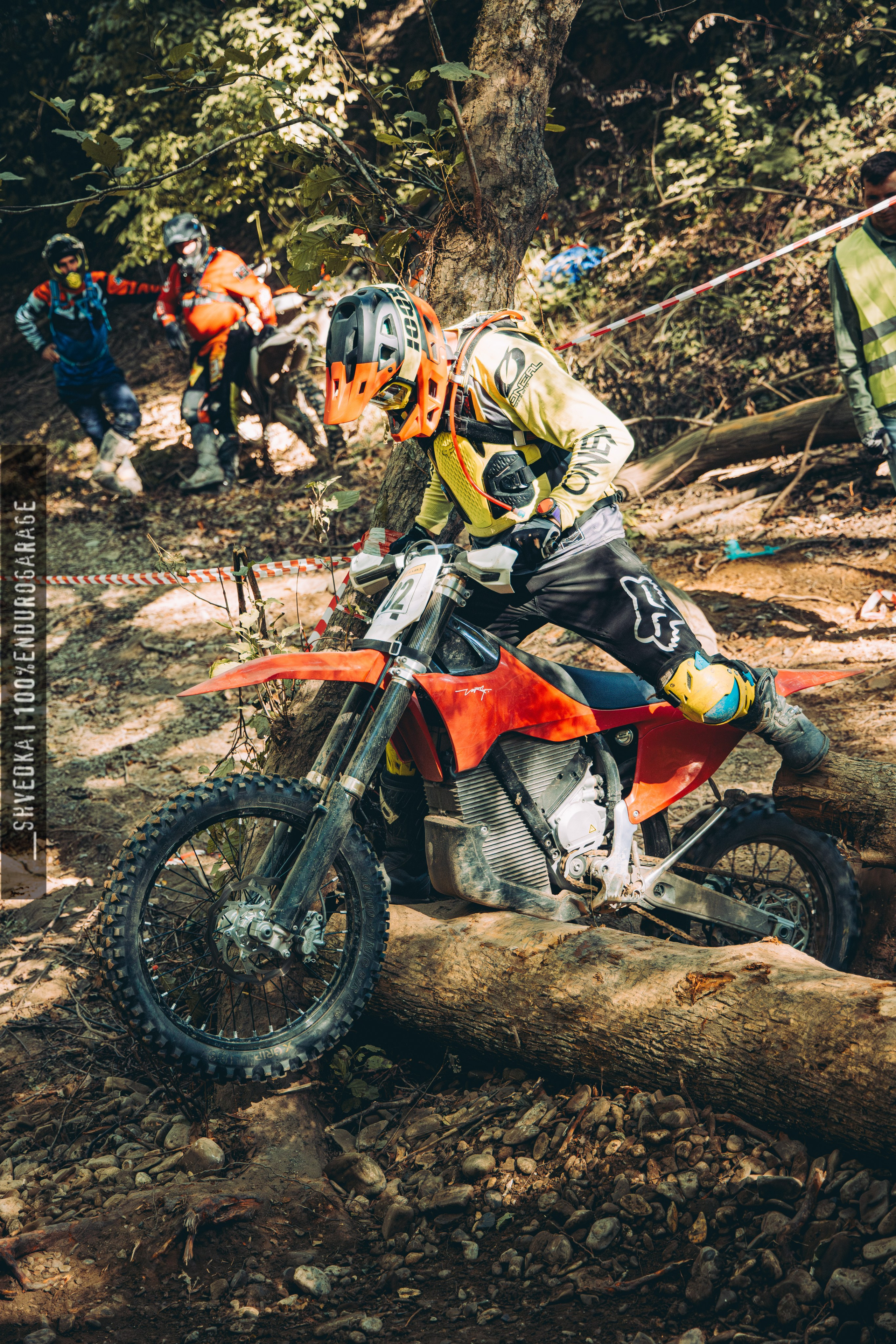 2 лесной день. Ваш экстрим фотограф Кудрева Яна