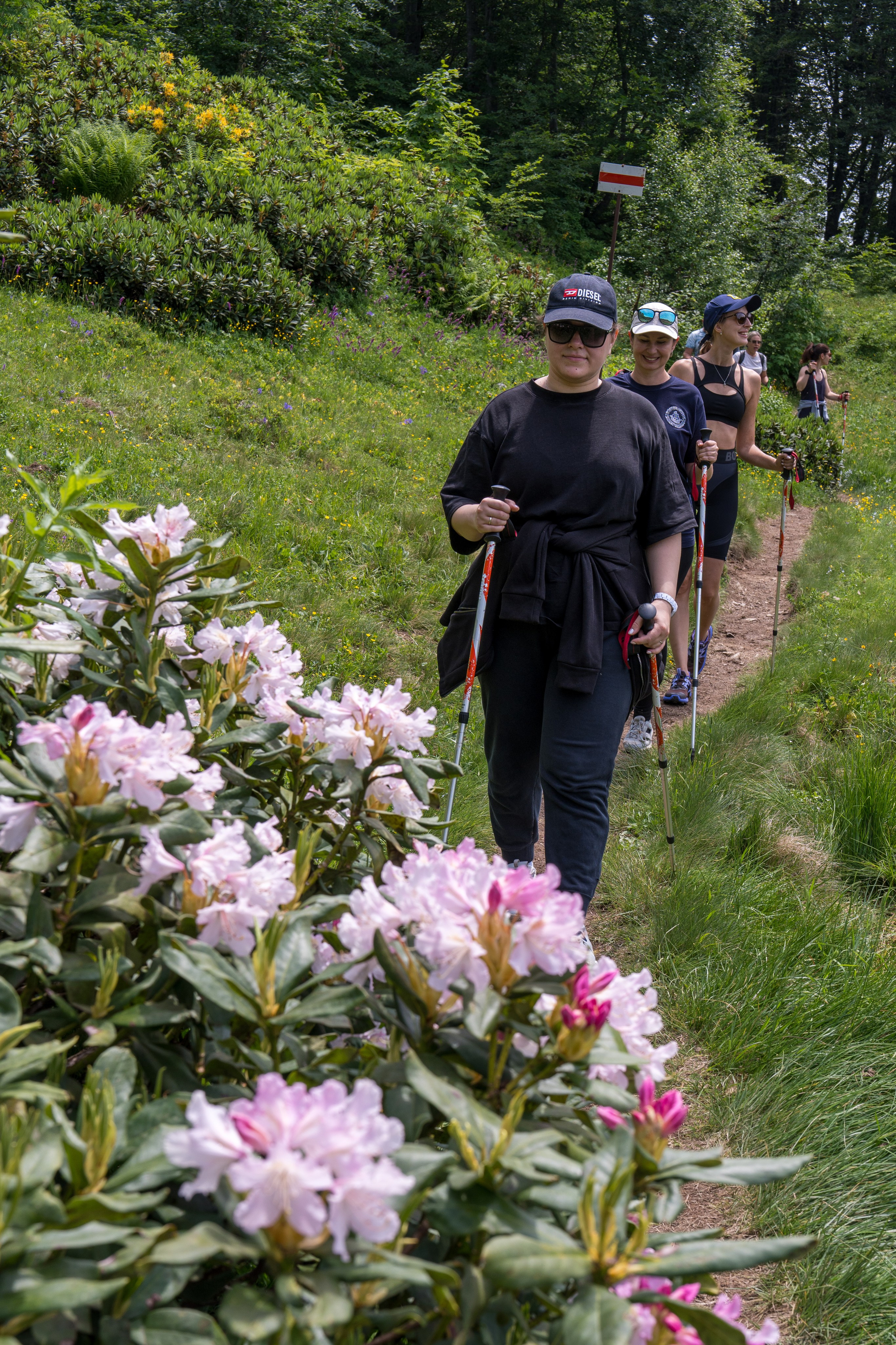 MICE мероприятие для компании «Доставка морем»: хайкинг к Ачипсинским водопадам. Репортажный фотограф в Красной Поляне и Сочи Павлюченко Екатерина