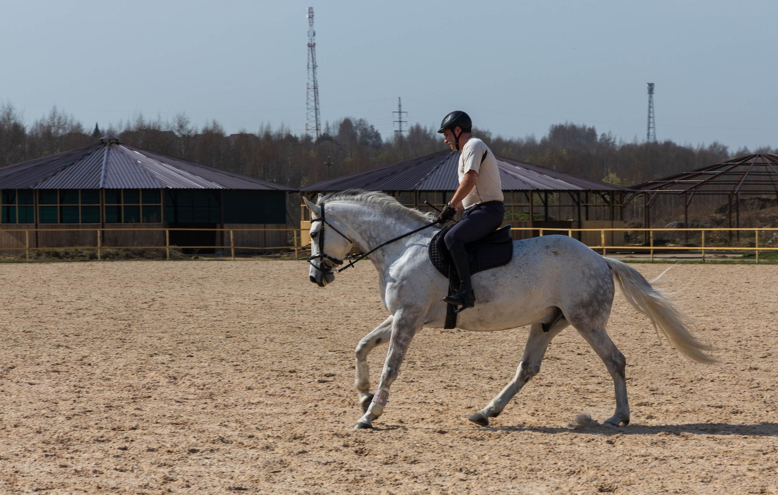 Репортаж.Конная тренировка. Портретный и семейный фотограф Санкт-Петербург