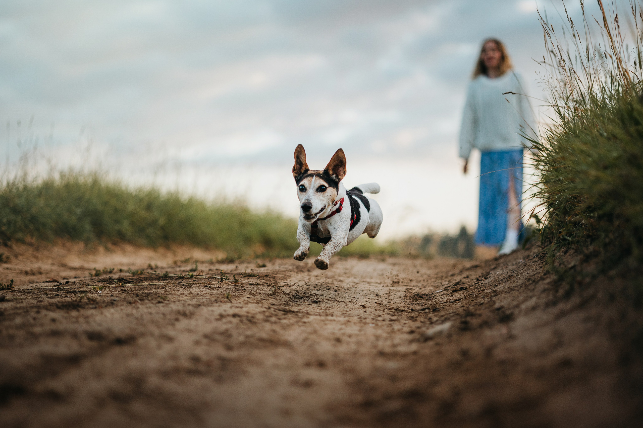 Маша и Персик. Фотограф — Анималист | Санкт-Петербург
