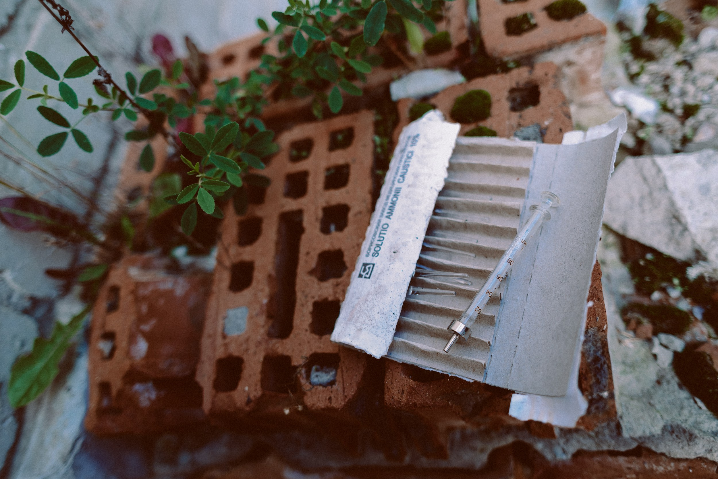 Мужская фотосессия фотограф. Фотограф Дарья Мустафина, Тюмень