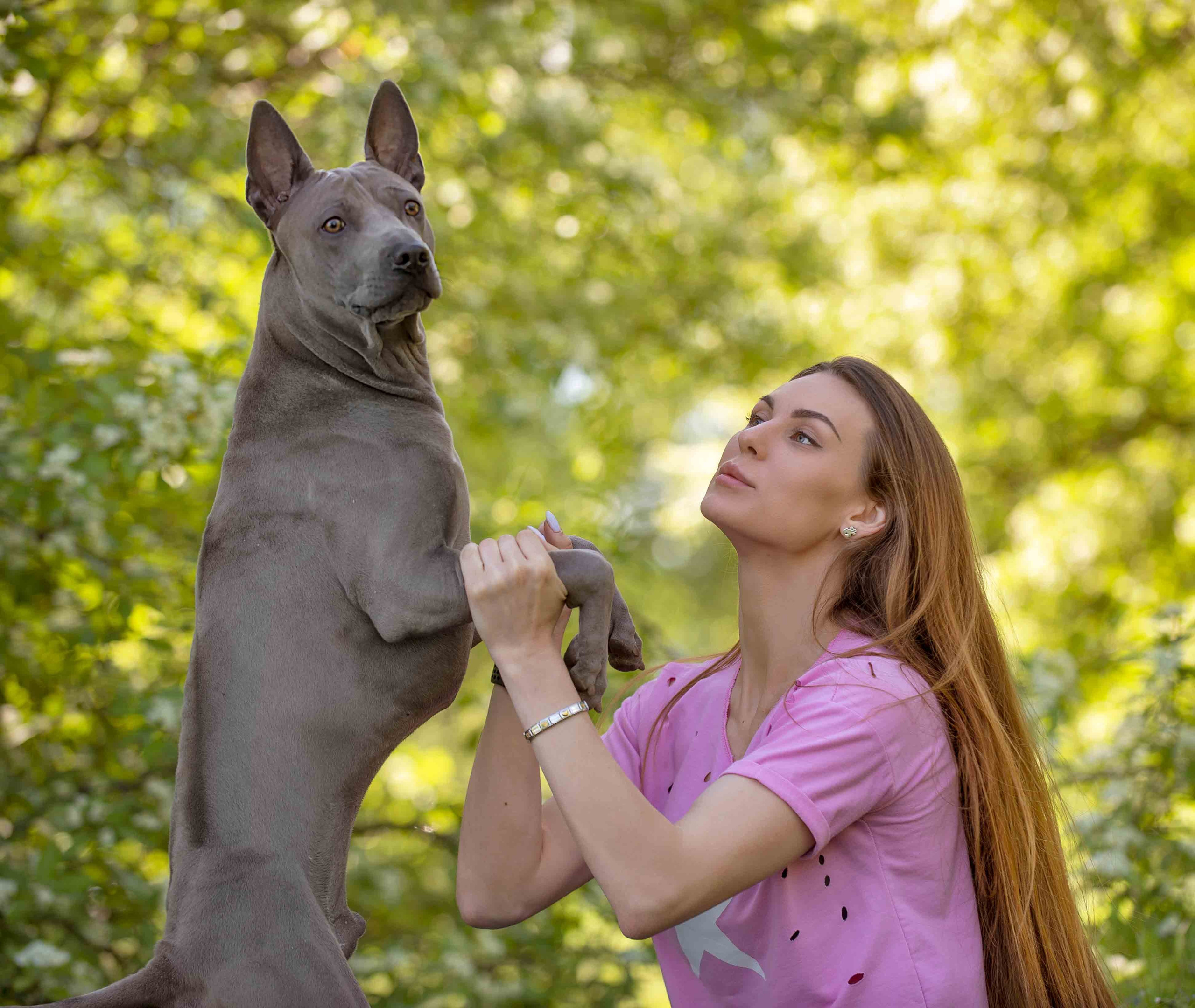 Фото с домашними питомцами. Портретная и свадебная фотосъемка. Москва и область