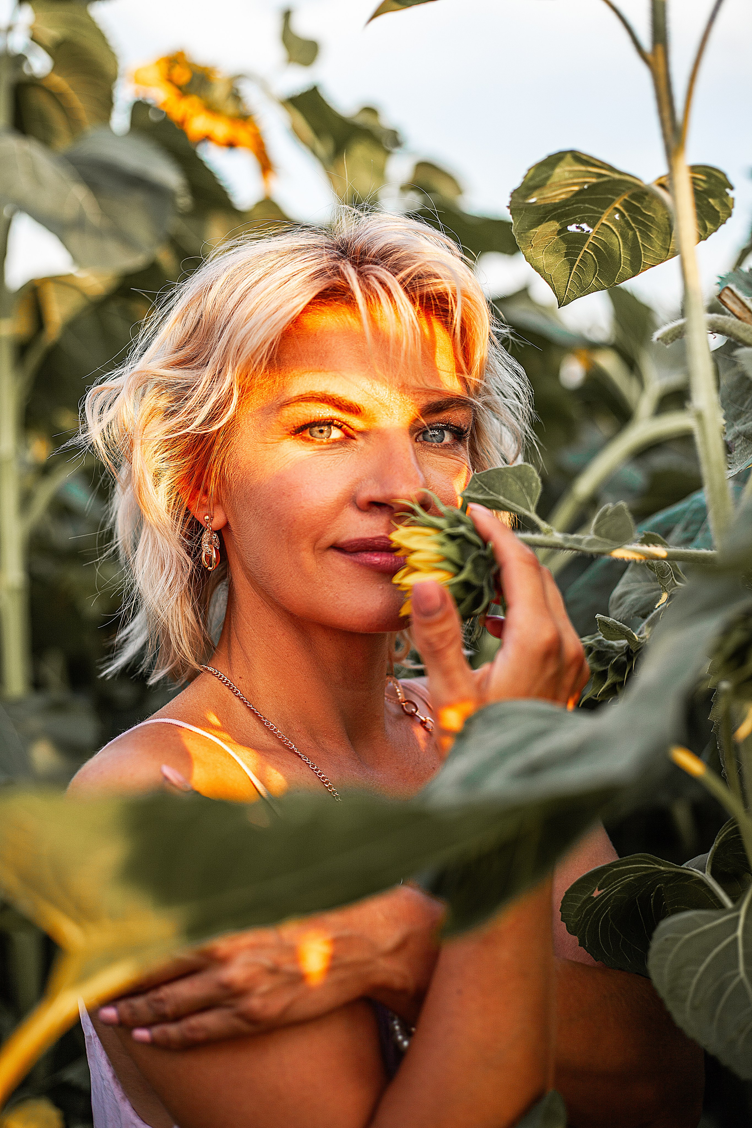 Подсолнухи!