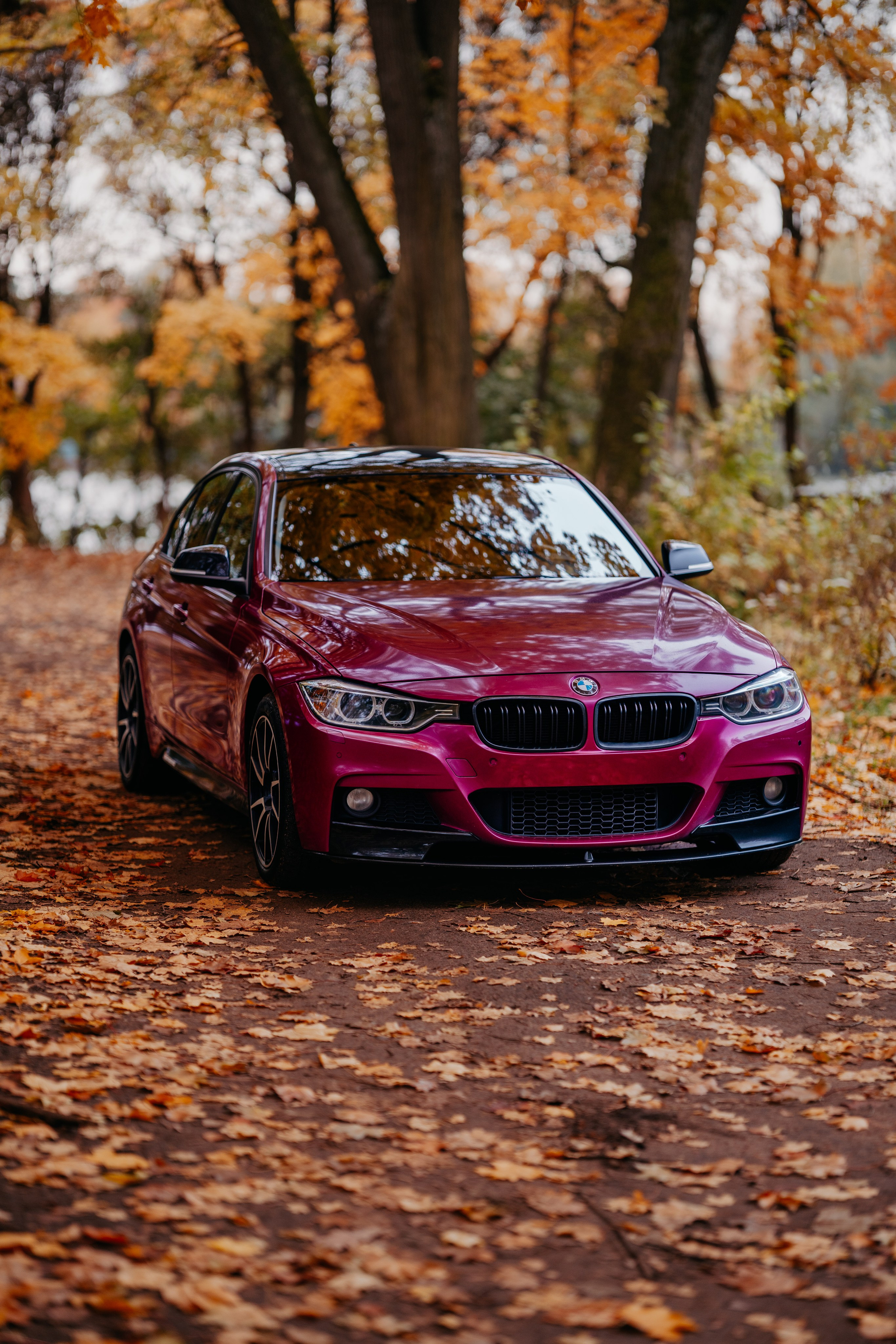 Алёна. Фотограф в Санкт-Петербурге Мария Александрова