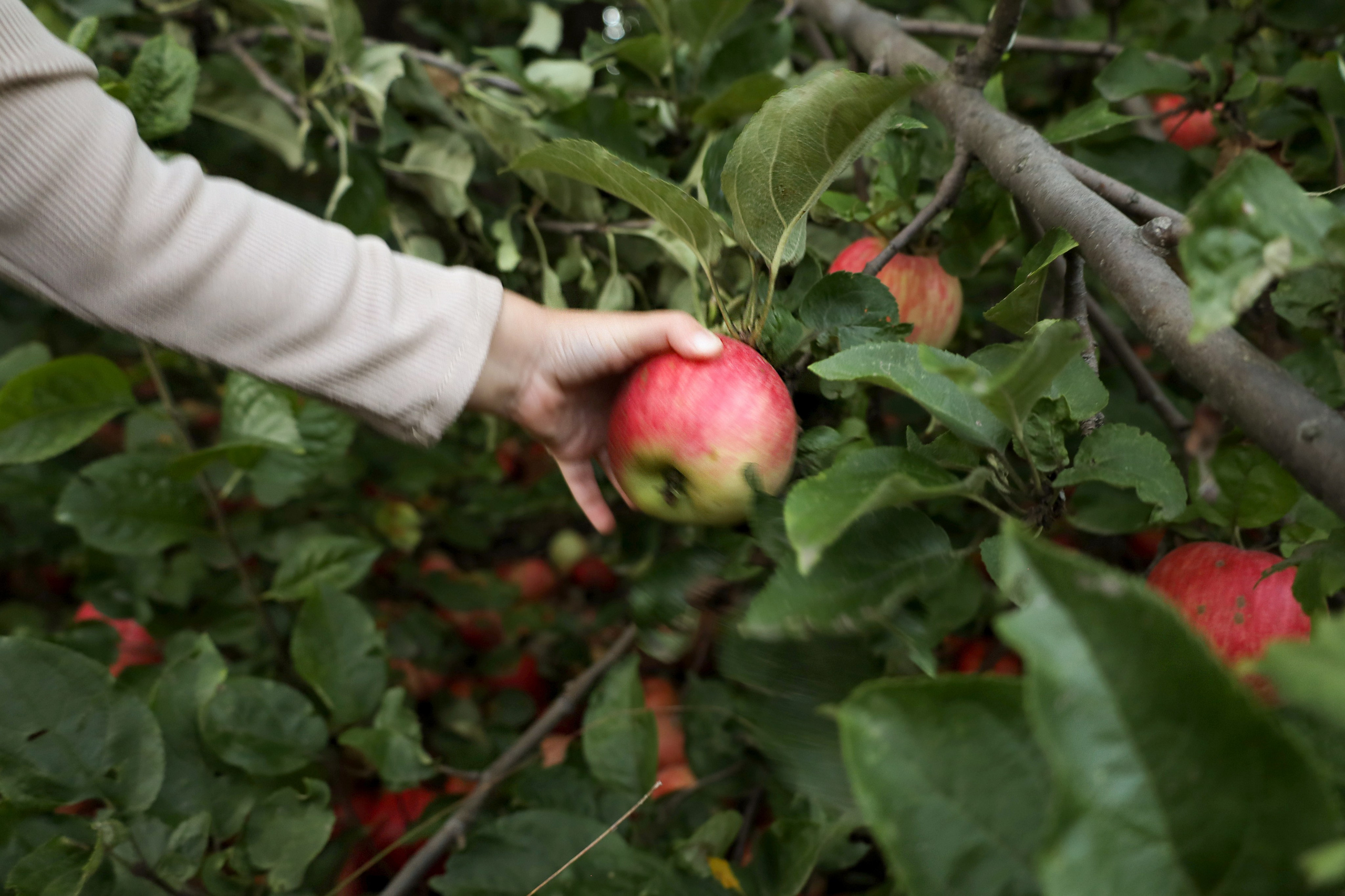 Детская съёмка. Фотограф Саратов | Елизавета Белова