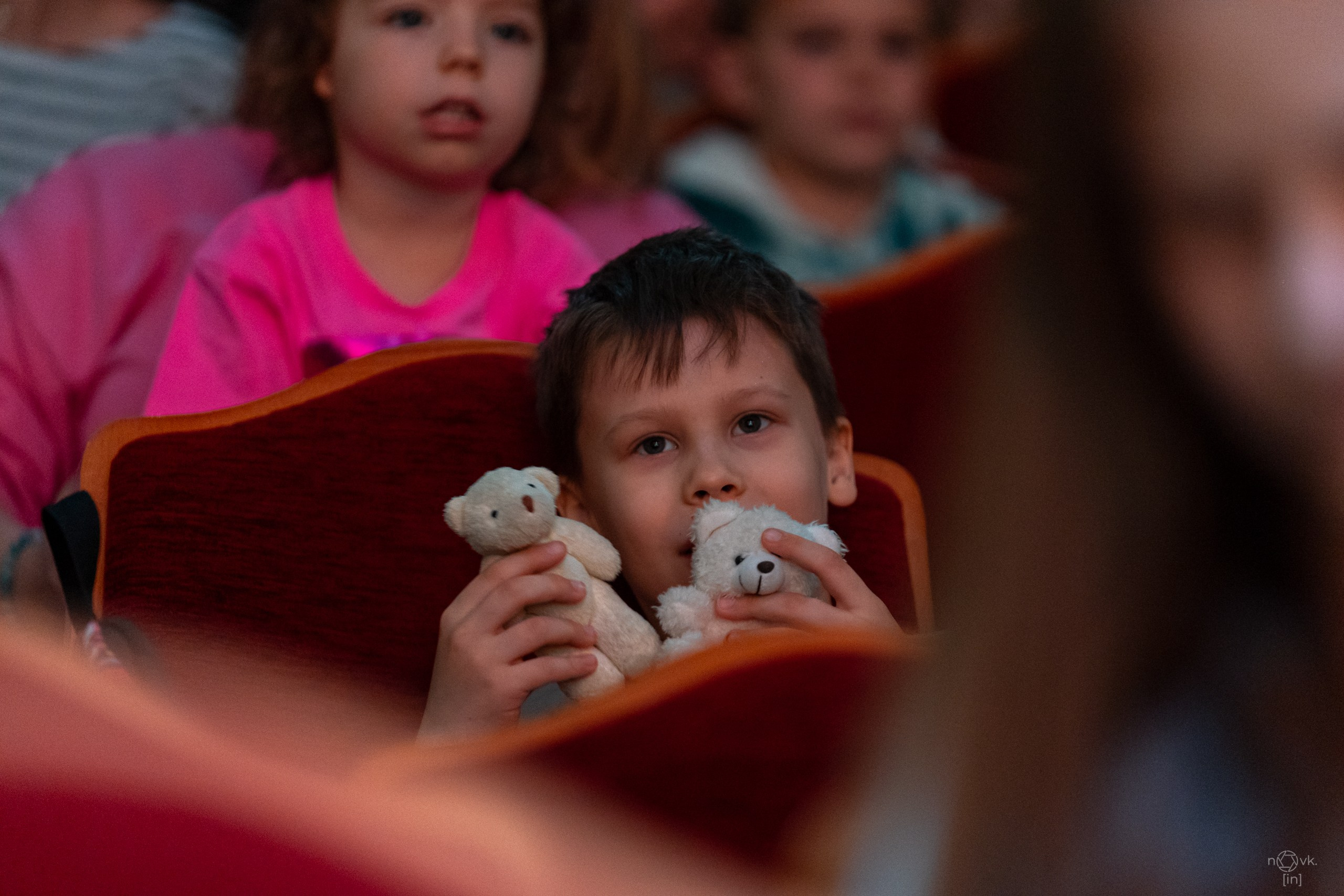 Ёлка. ФОТОГРАФ ИВАН НОВИКОВ | СТАВРОПОЛЬ