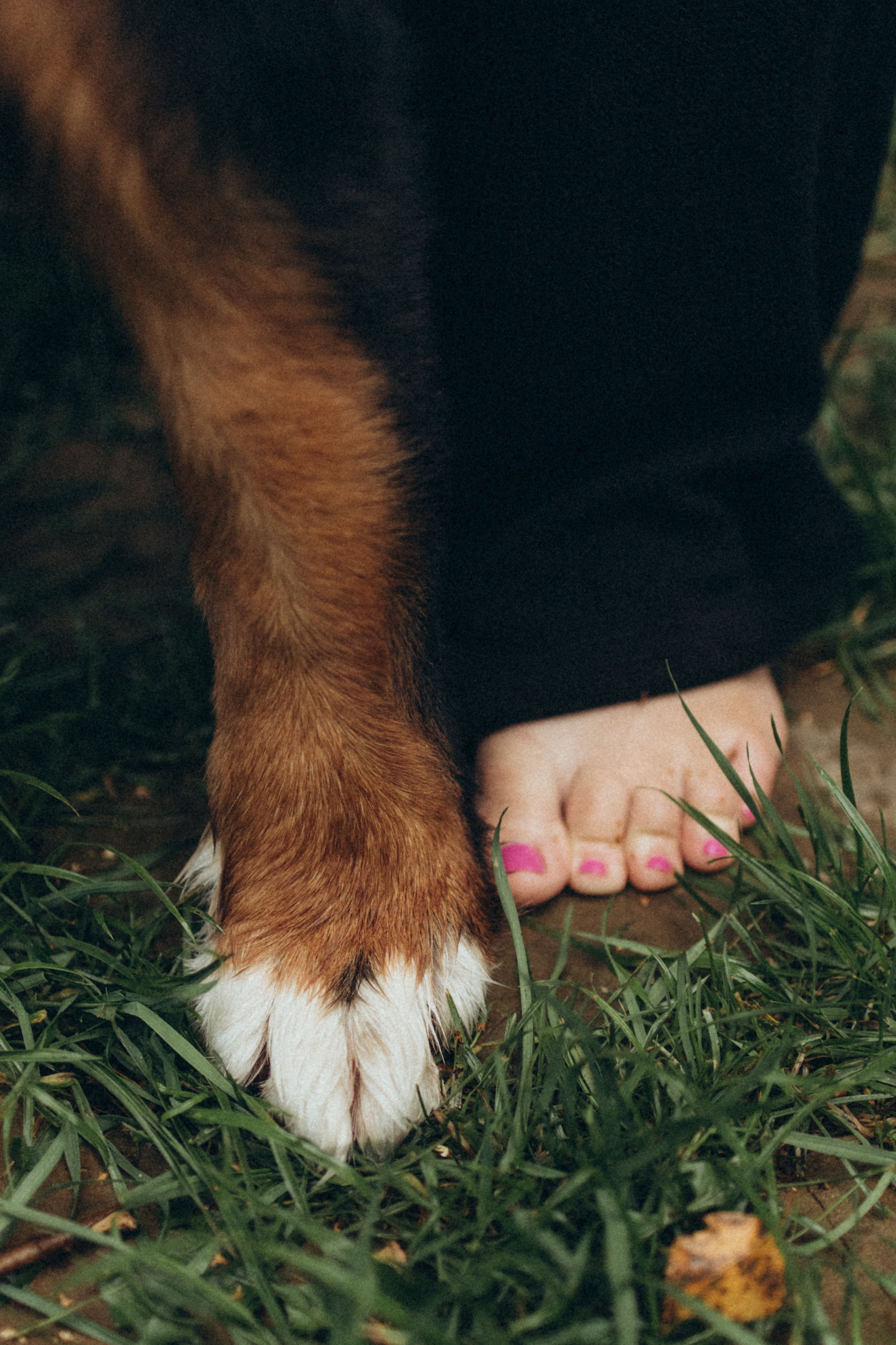 Таня и Тери