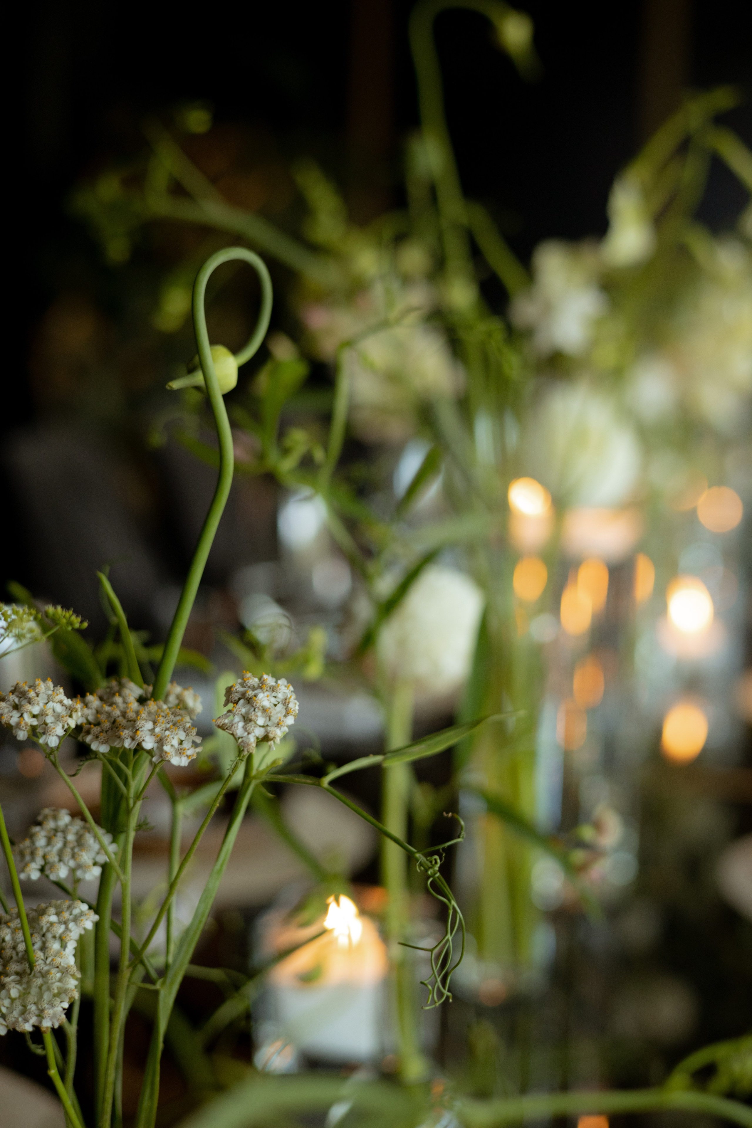 Алина & Николай. Оформление свадеб, декор свадеб Вера Маркова, Москва