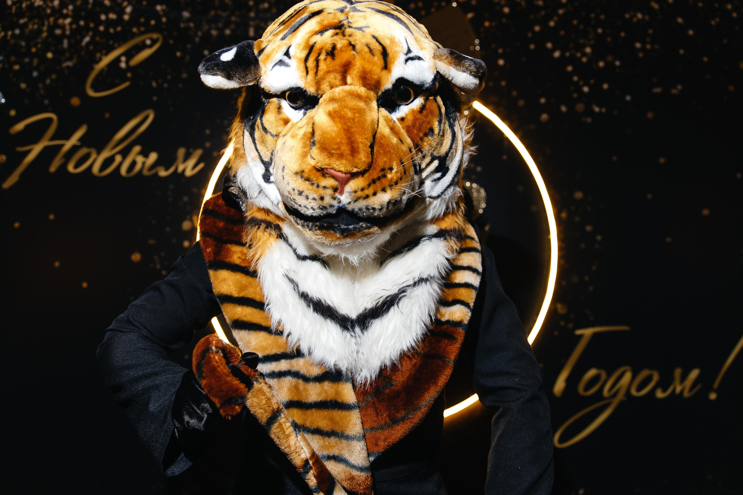 Новогодние корпоративы. Свадебный фотограф Евгений Мирончев