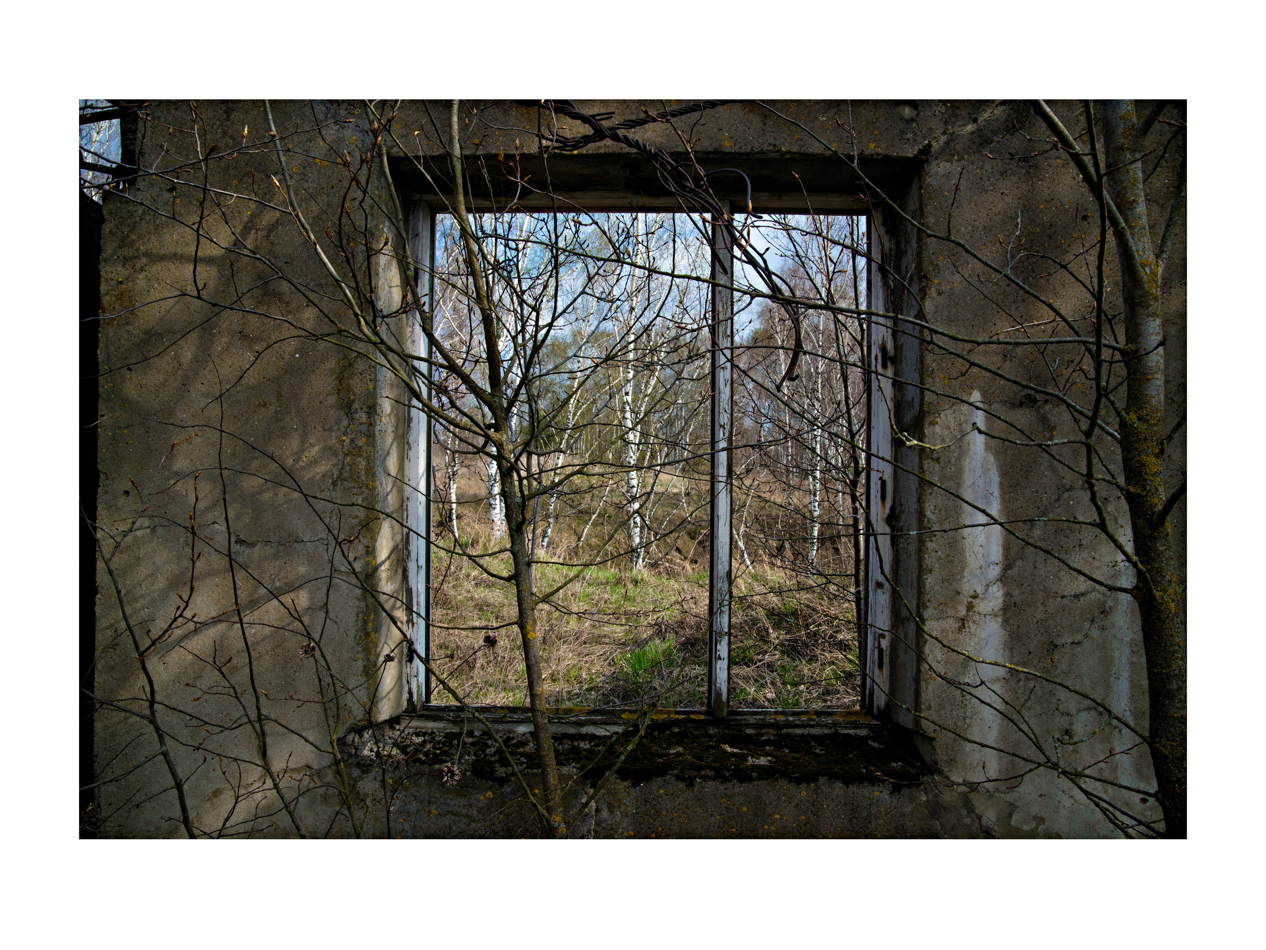 Singles 2. Alyona Kochetkova | Photographer and photography educator