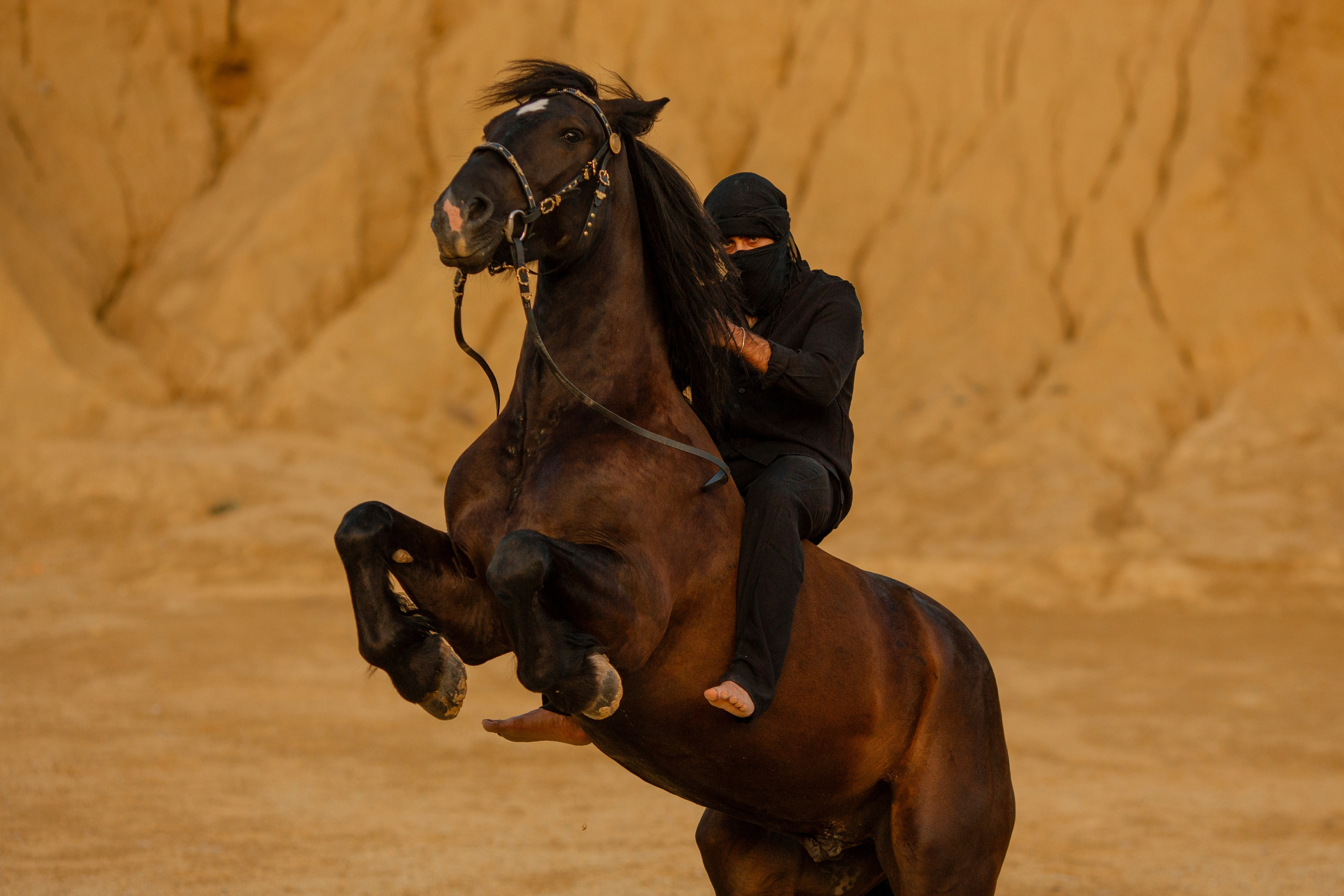 Мужская фотосессия с лошадью