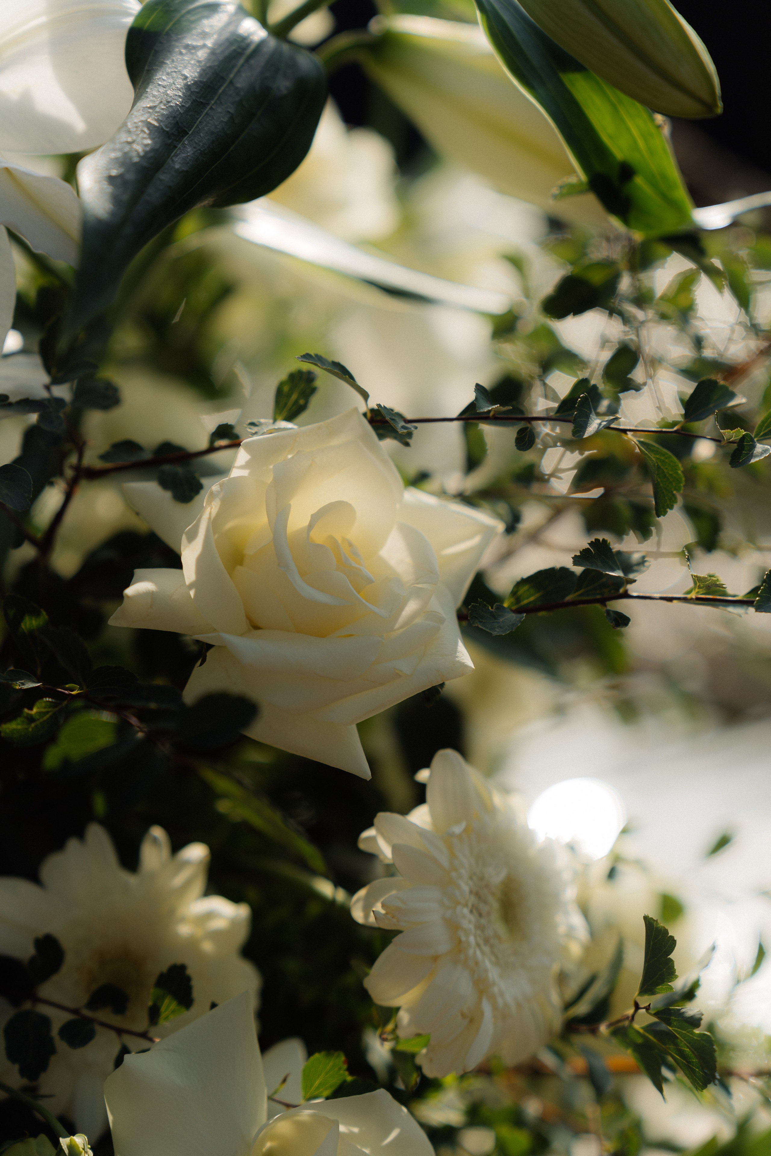 Артемий и Екатерина. Главная