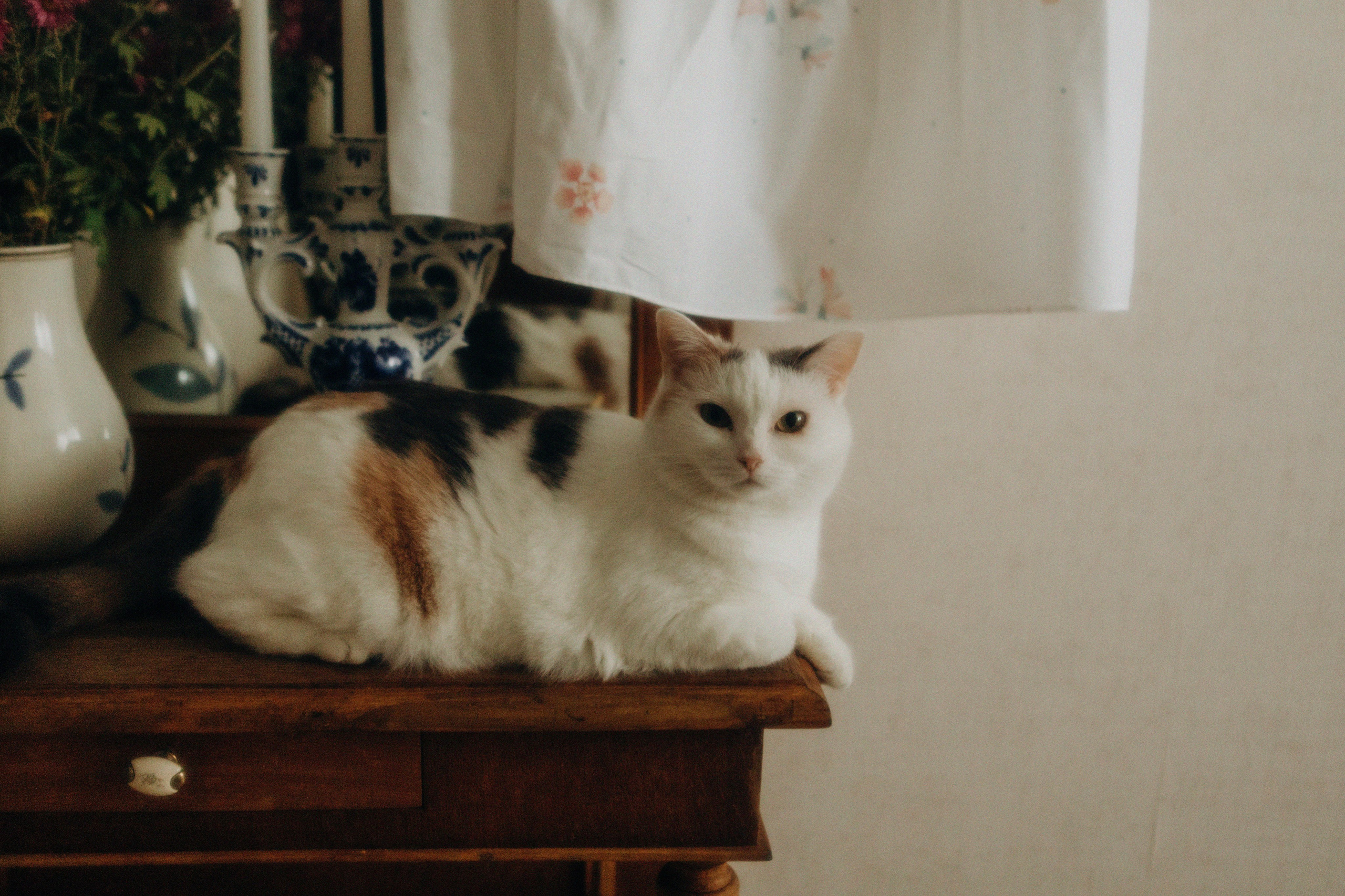 Нежность. Свадебный и семейный фотограф Арестенко Анастасия