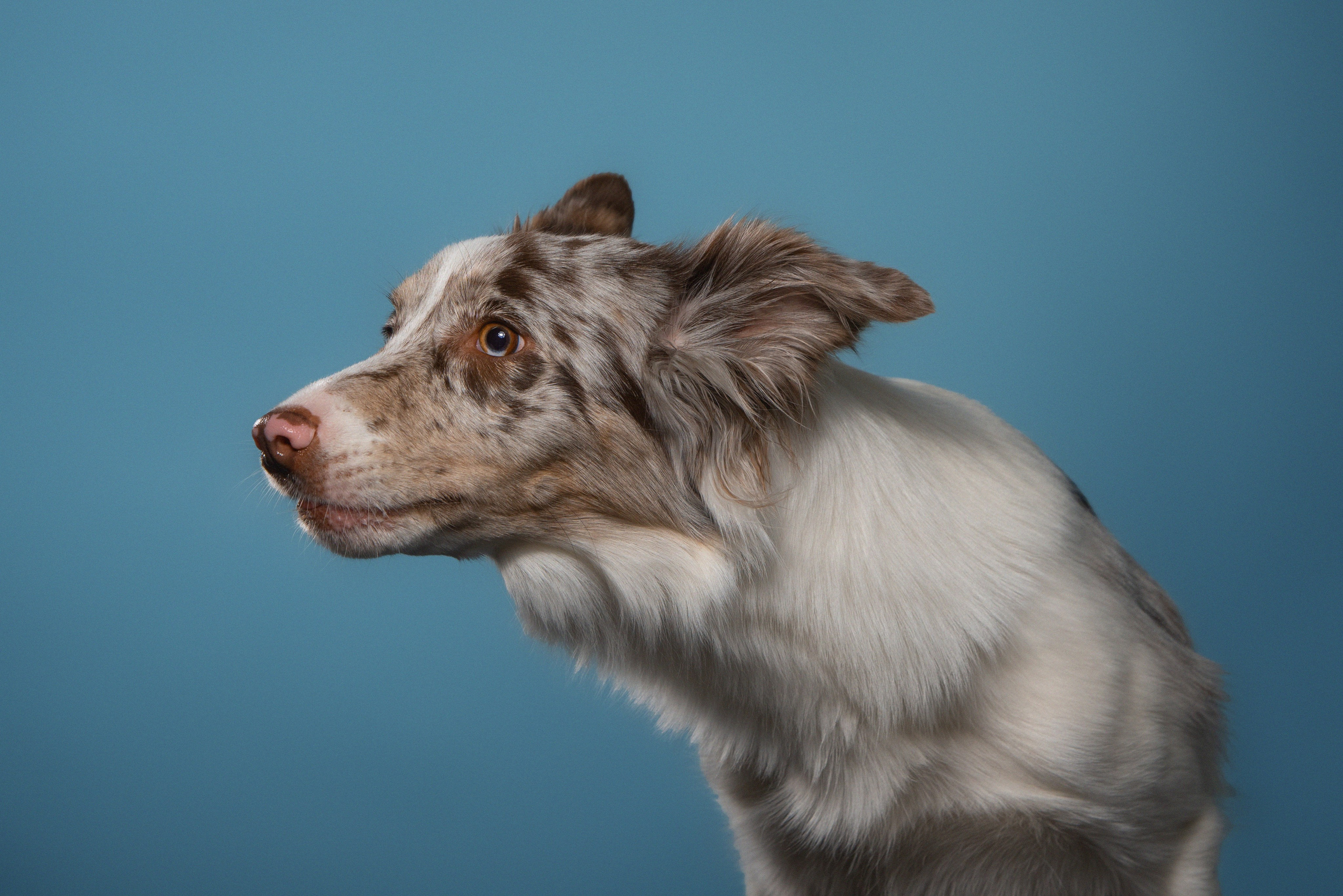 Фотодень в Нижнем Новгороде. Фотограф Анна Тюрина