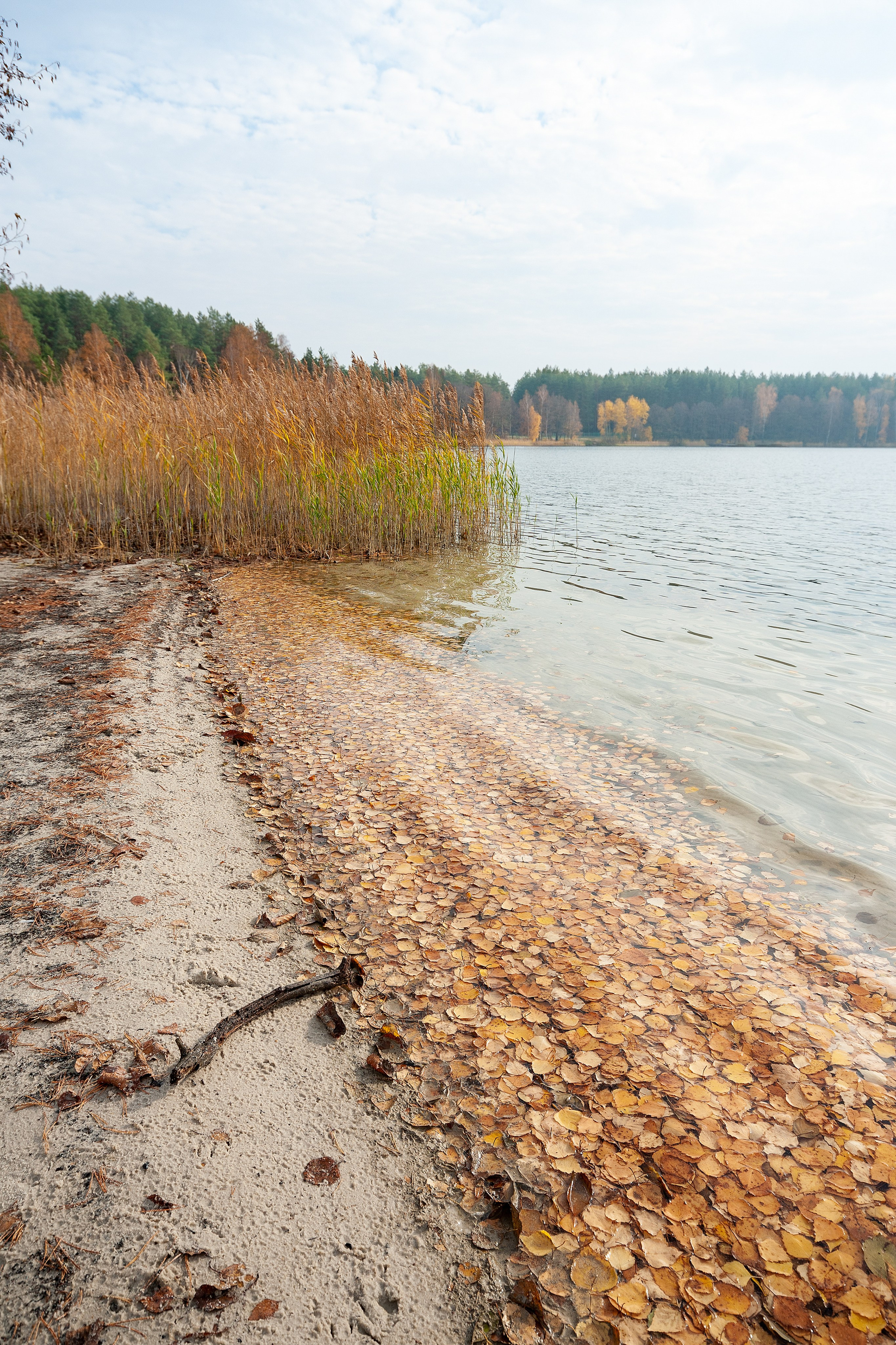Озеро Белое. Московская область. Борис Руненко. Пейзажный и travel-фотограф