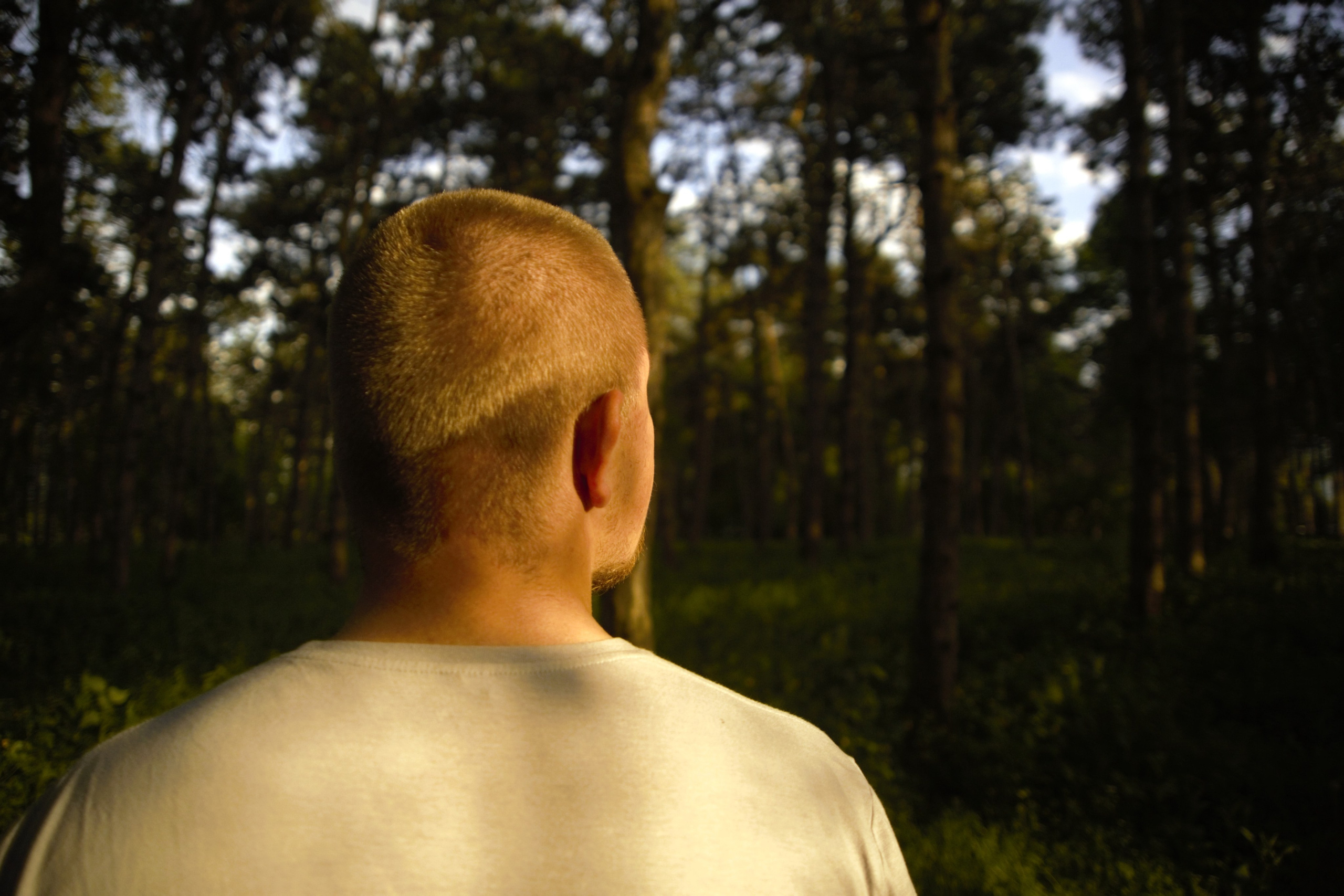 Солнце,солнечная погода