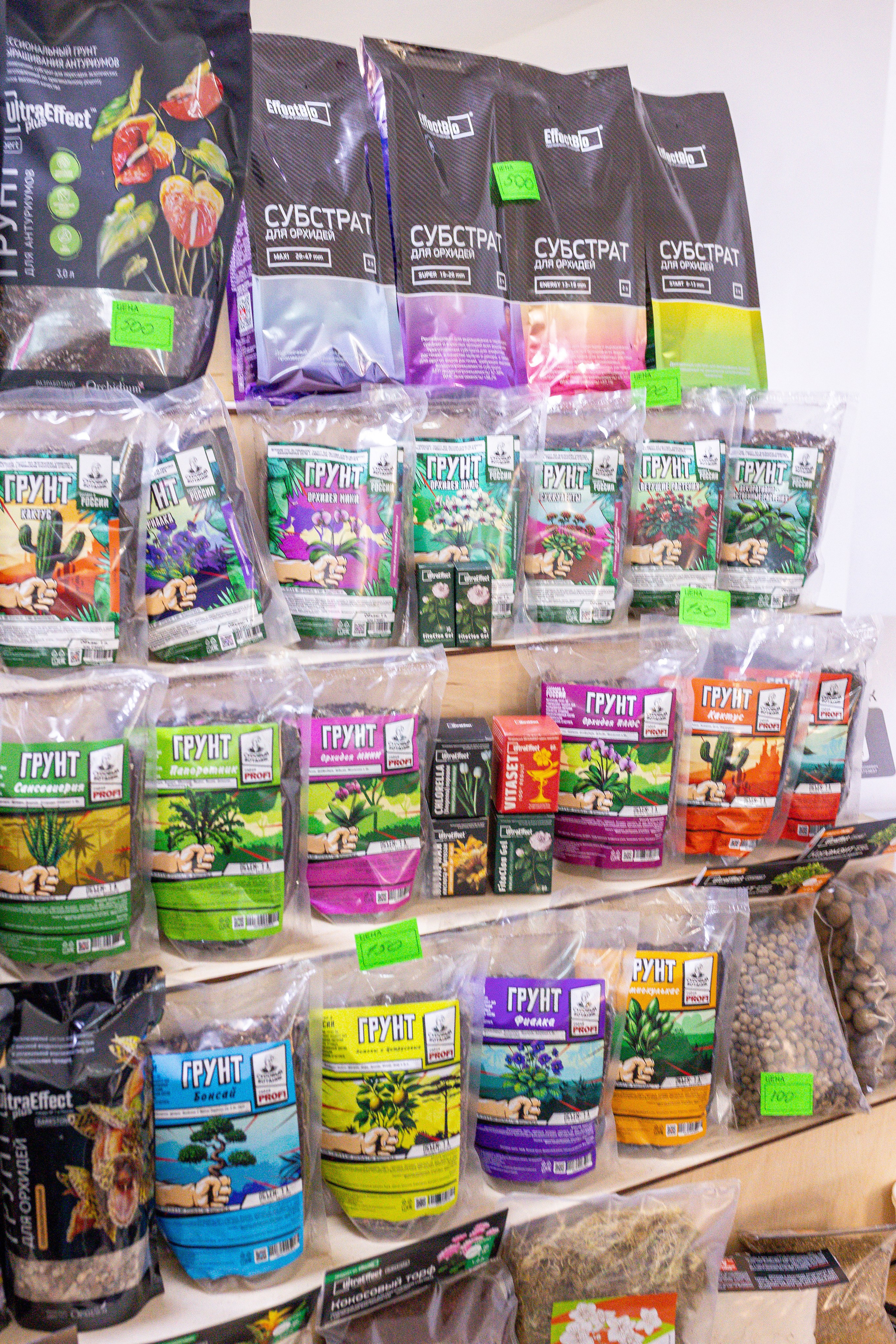 Орхидиум май 2025. Александра Куликова фотограф, Москва