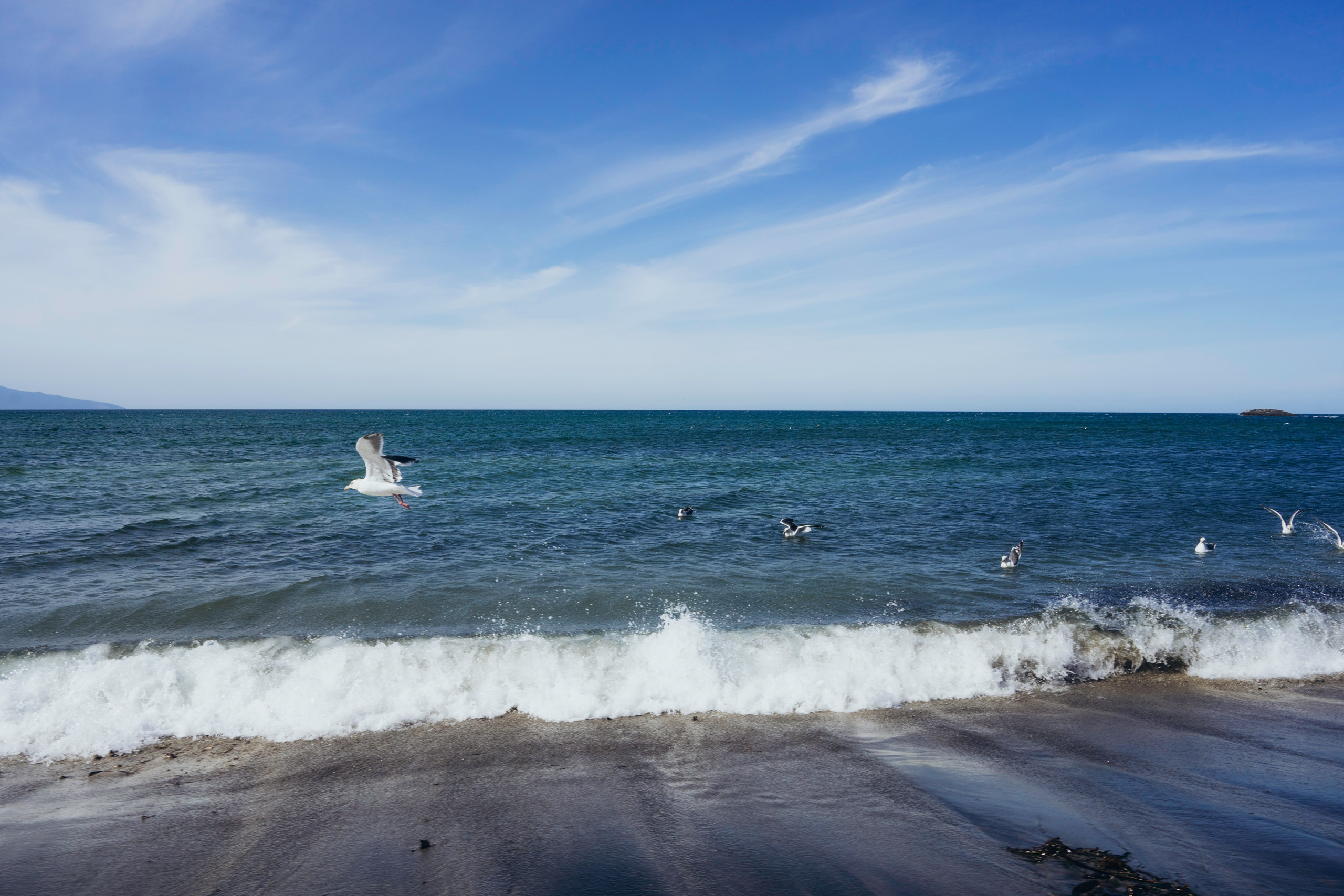 Сахалин + Итуруп