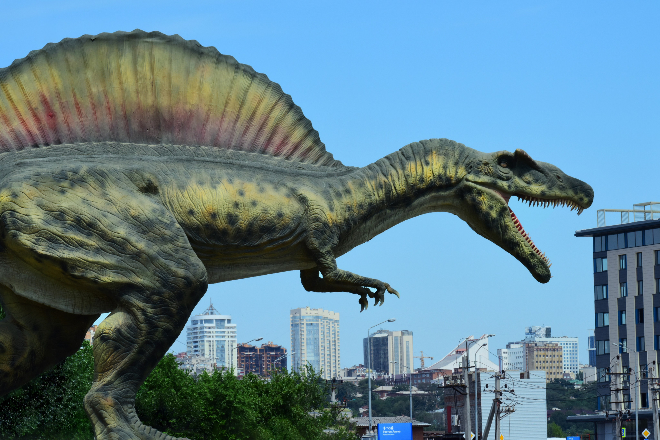 РОСТОВ. Фотограф Глеб Садов